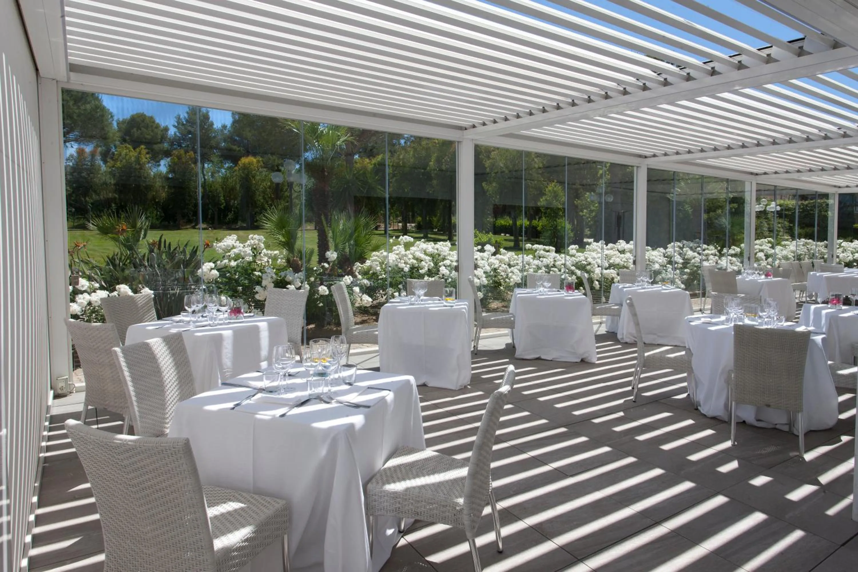 Restaurant/places to eat in Hotel Airone isola d'Elba