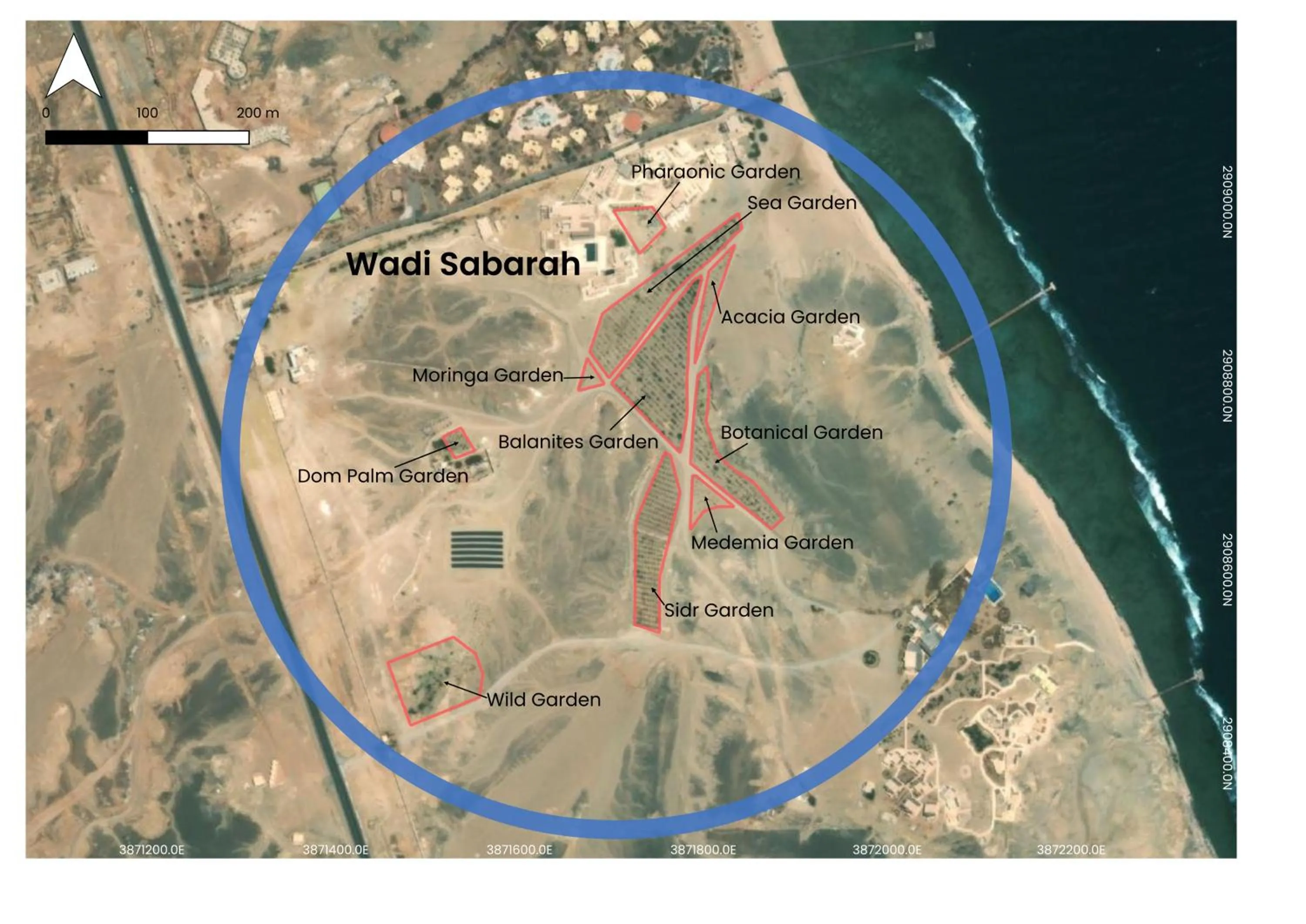 Garden in Wadi Sabarah Lodge