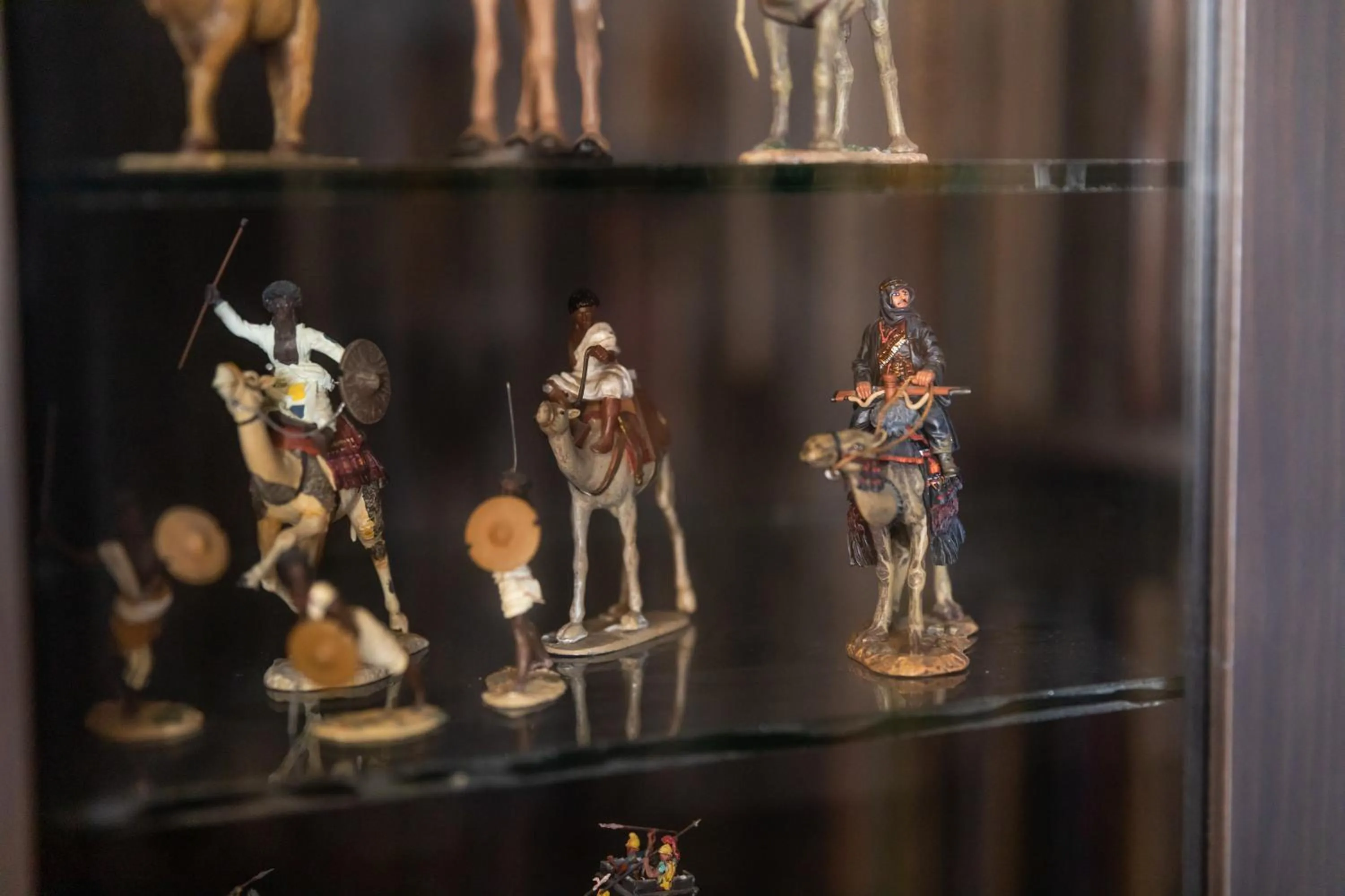 Library in Wadi Sabarah Lodge