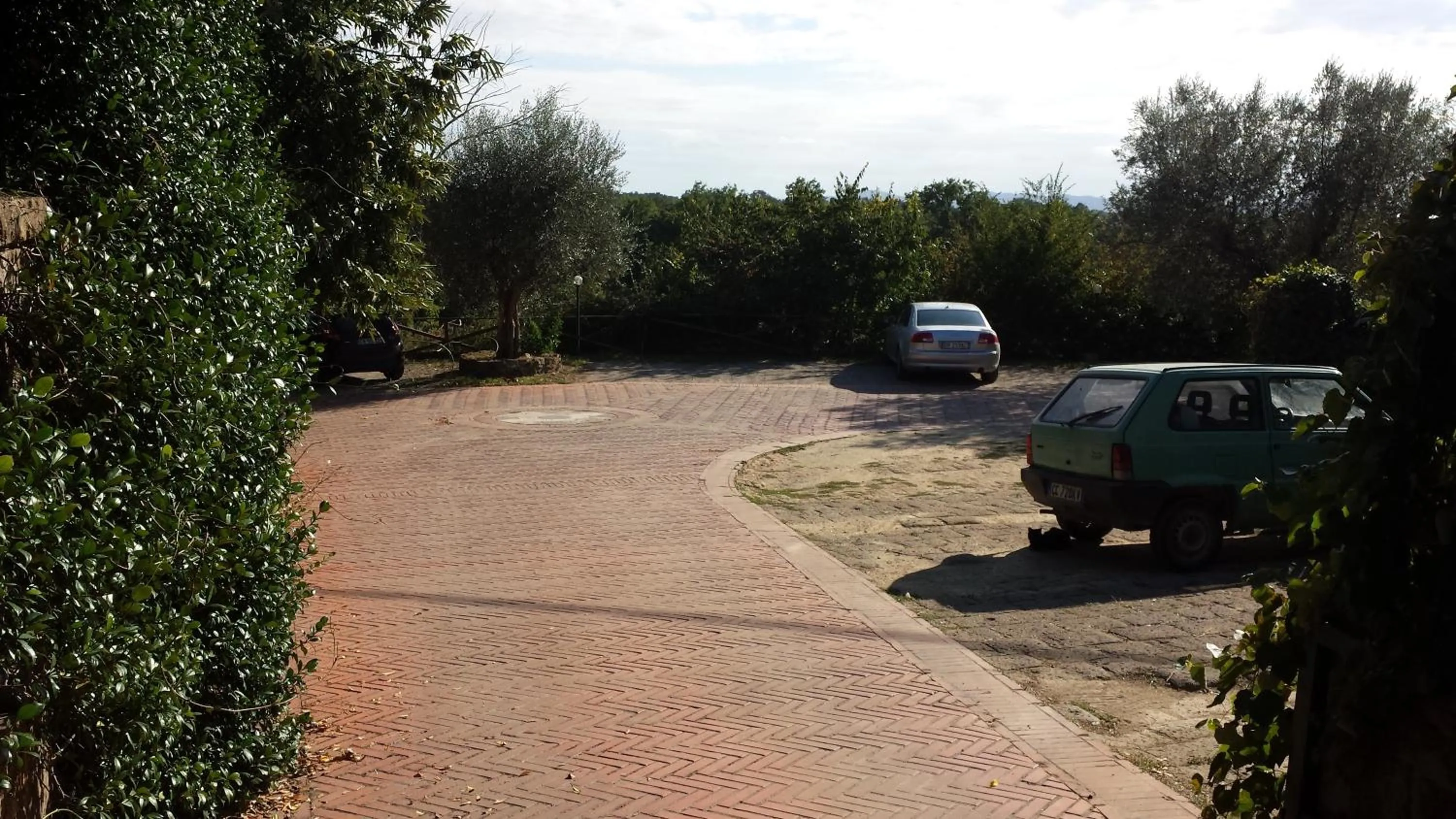 Garden in Hotel Scilla