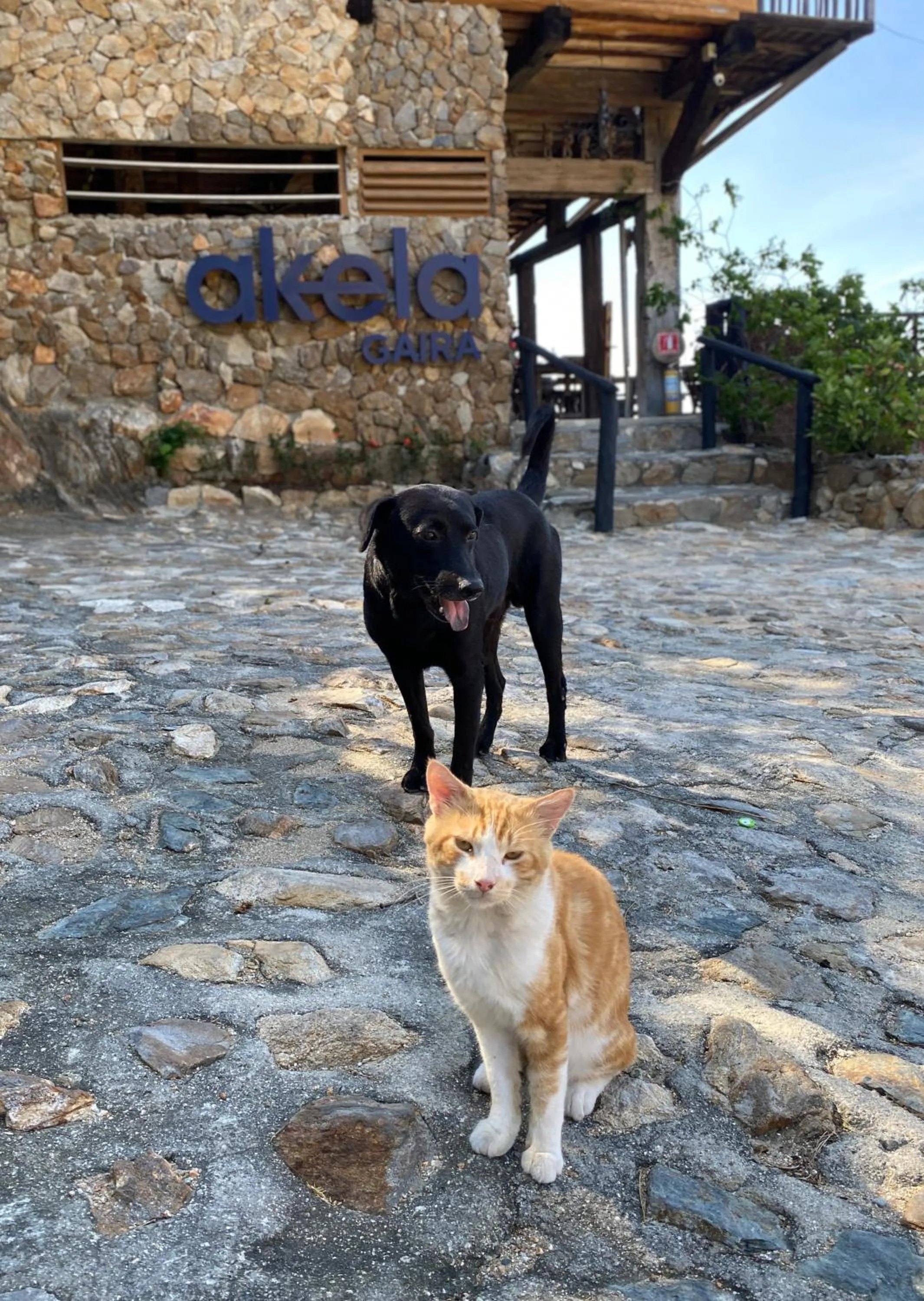Facade/entrance in Akela Gaira Hotel