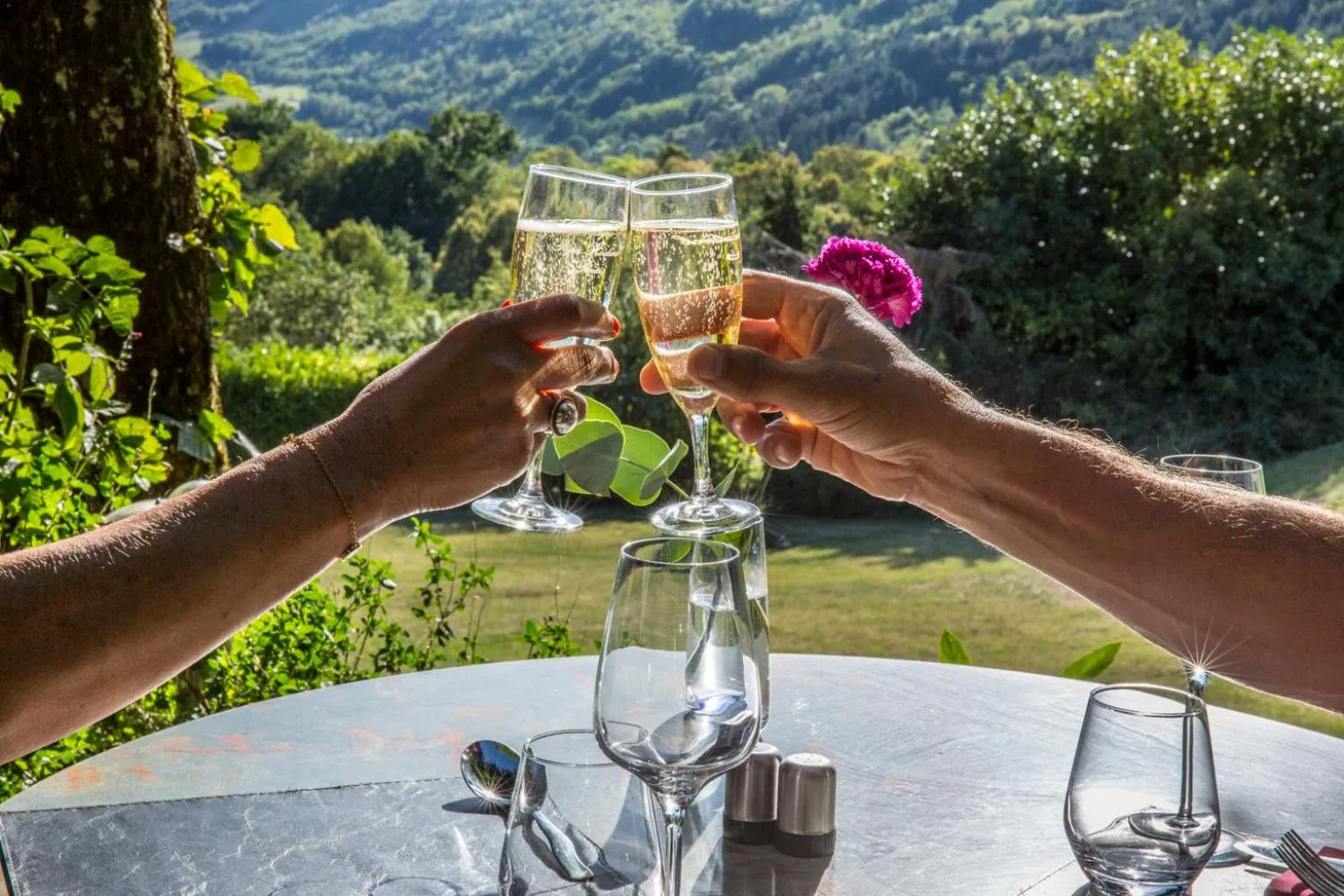 Balcony/Terrace in Hotel Les Mésanges