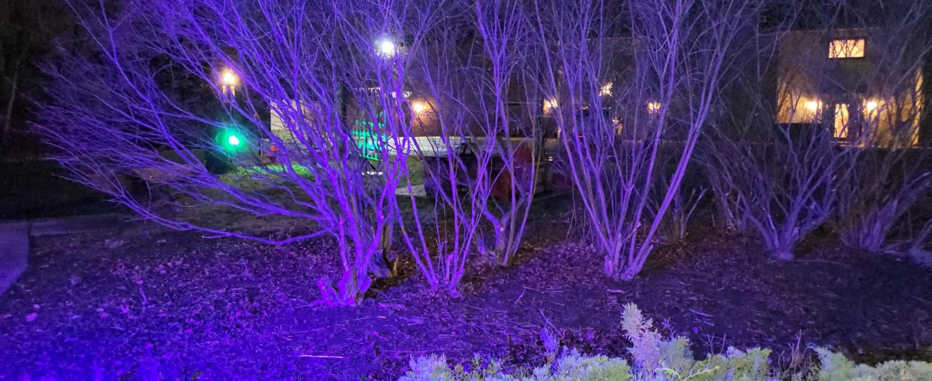 Spring in Inn of the Dove Harrisburg-Hershey Romantic Suites