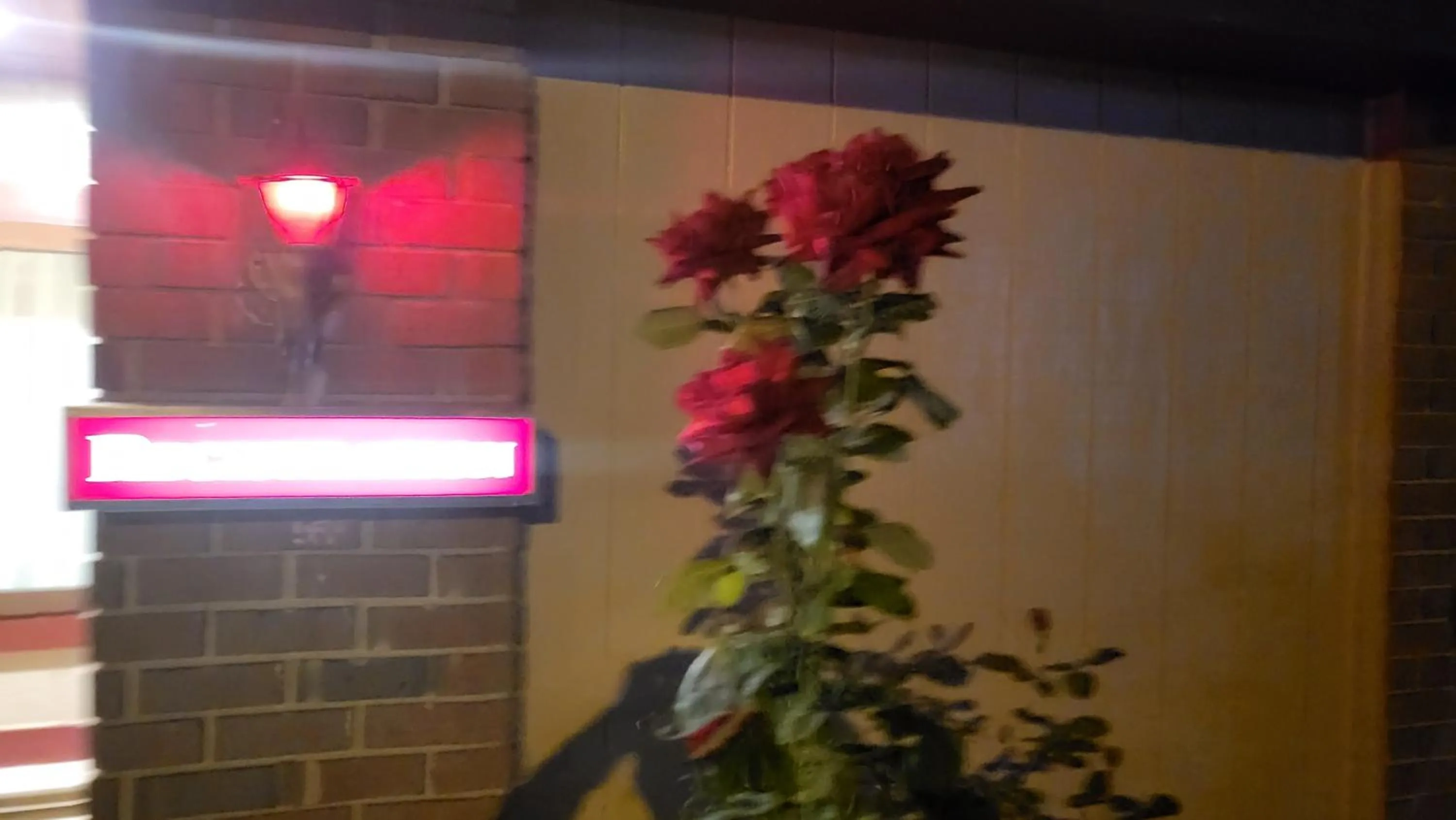 Night in Inn of the Dove Harrisburg-Hershey Romantic Suites