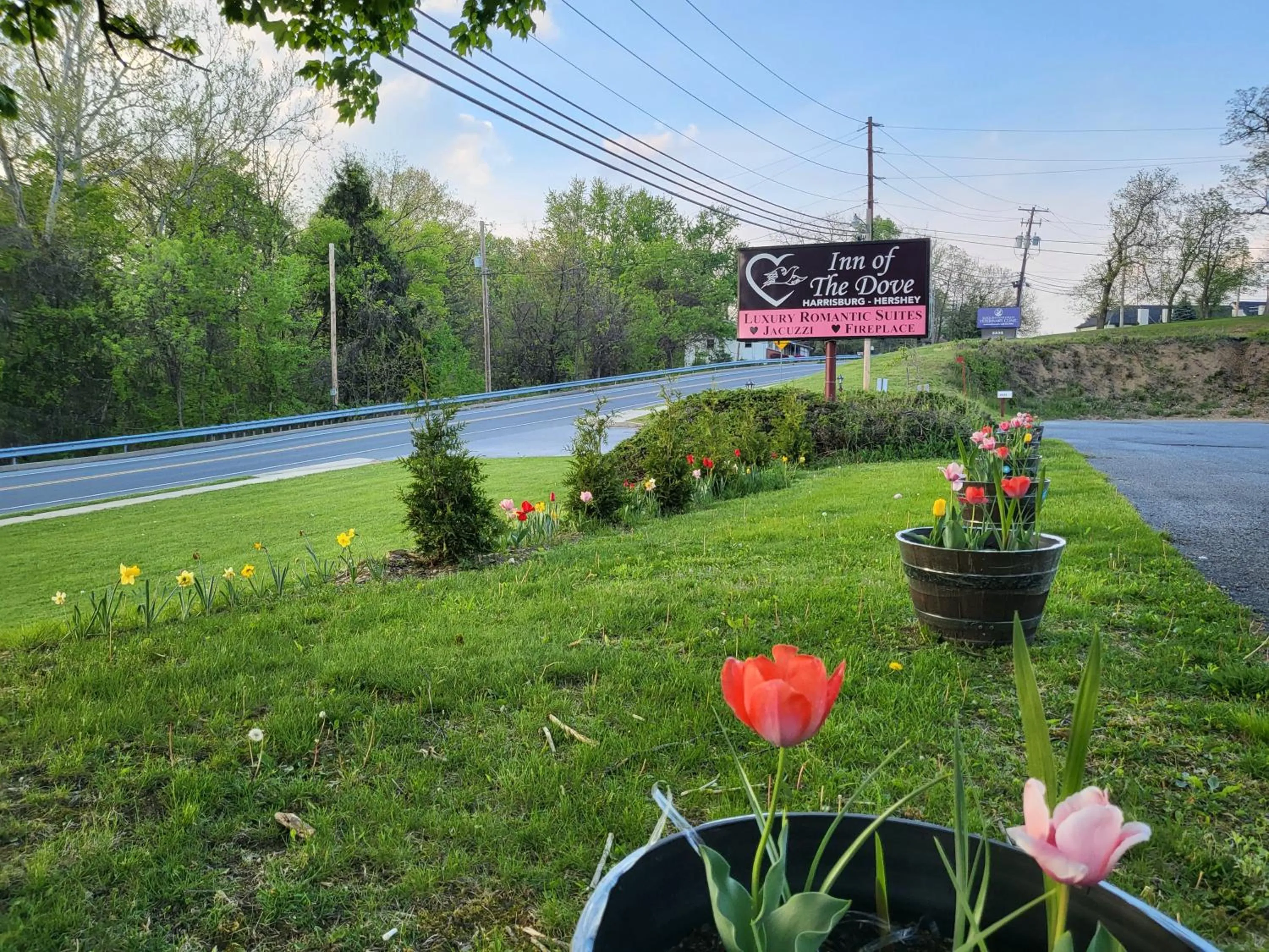 Garden view in Inn of the Dove Harrisburg-Hershey Romantic Suites