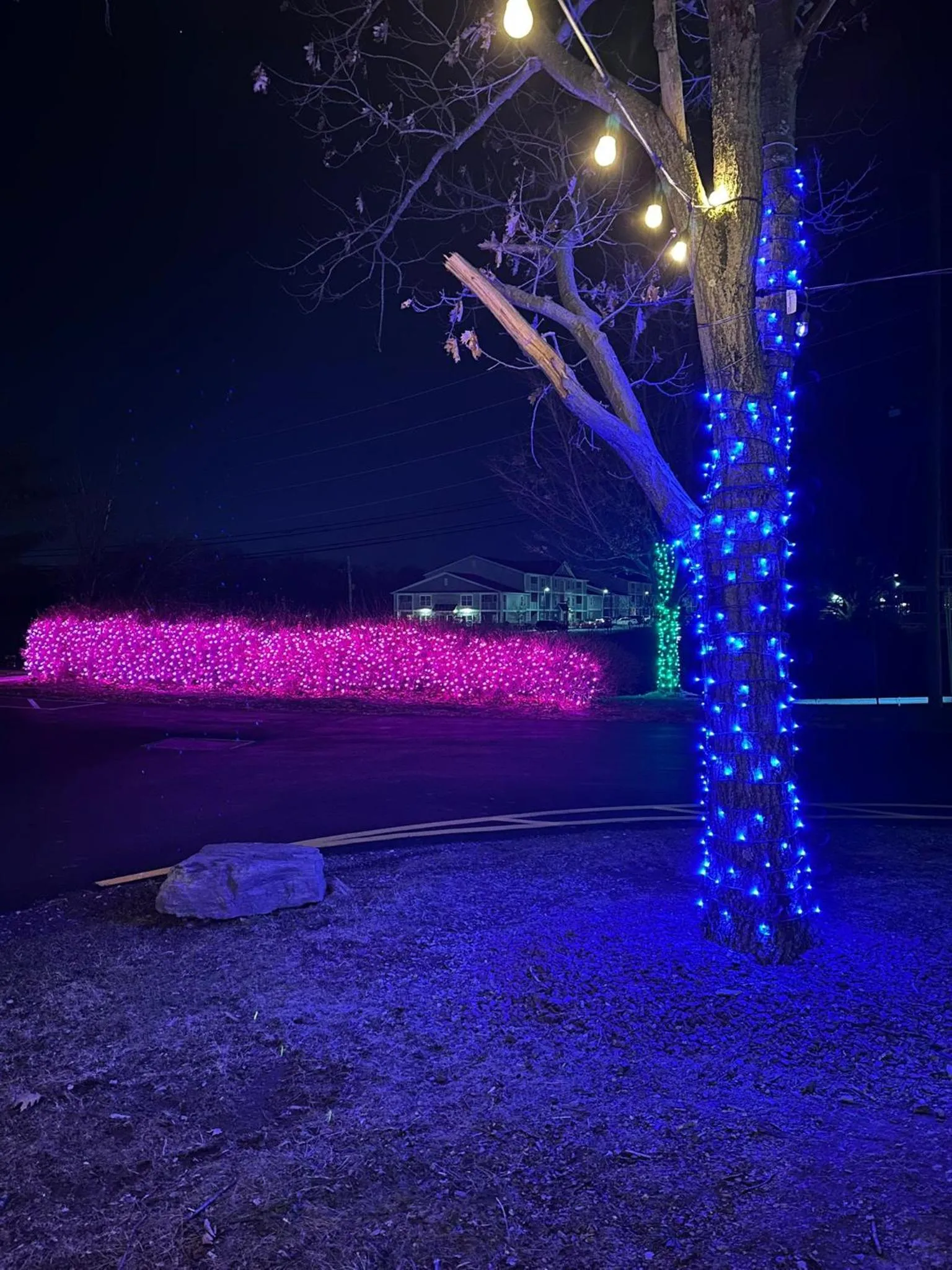 Night in Inn of the Dove Harrisburg-Hershey Romantic Suites