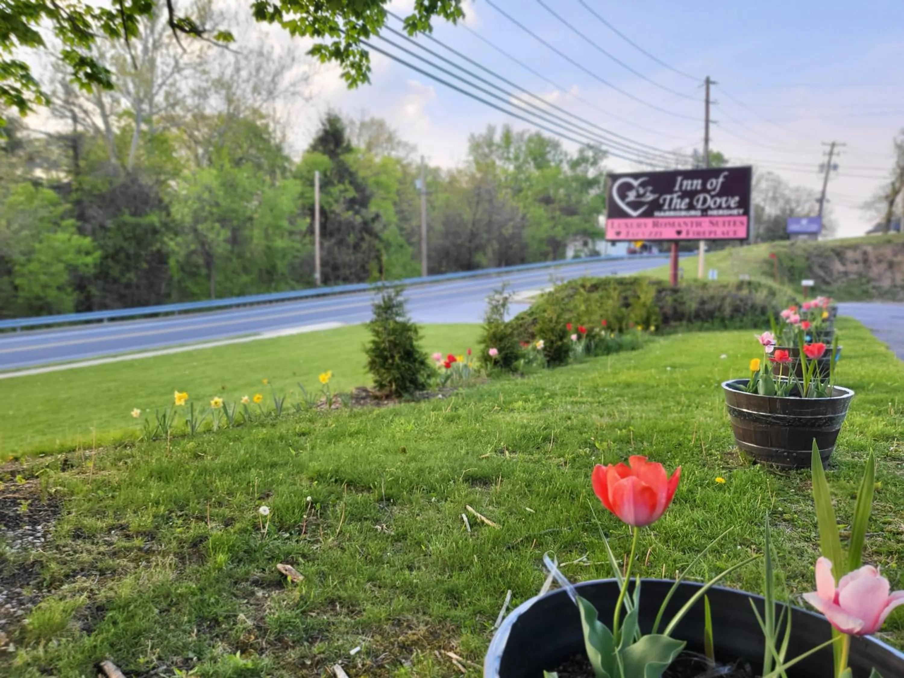 Day in Inn of the Dove Harrisburg-Hershey Romantic Suites