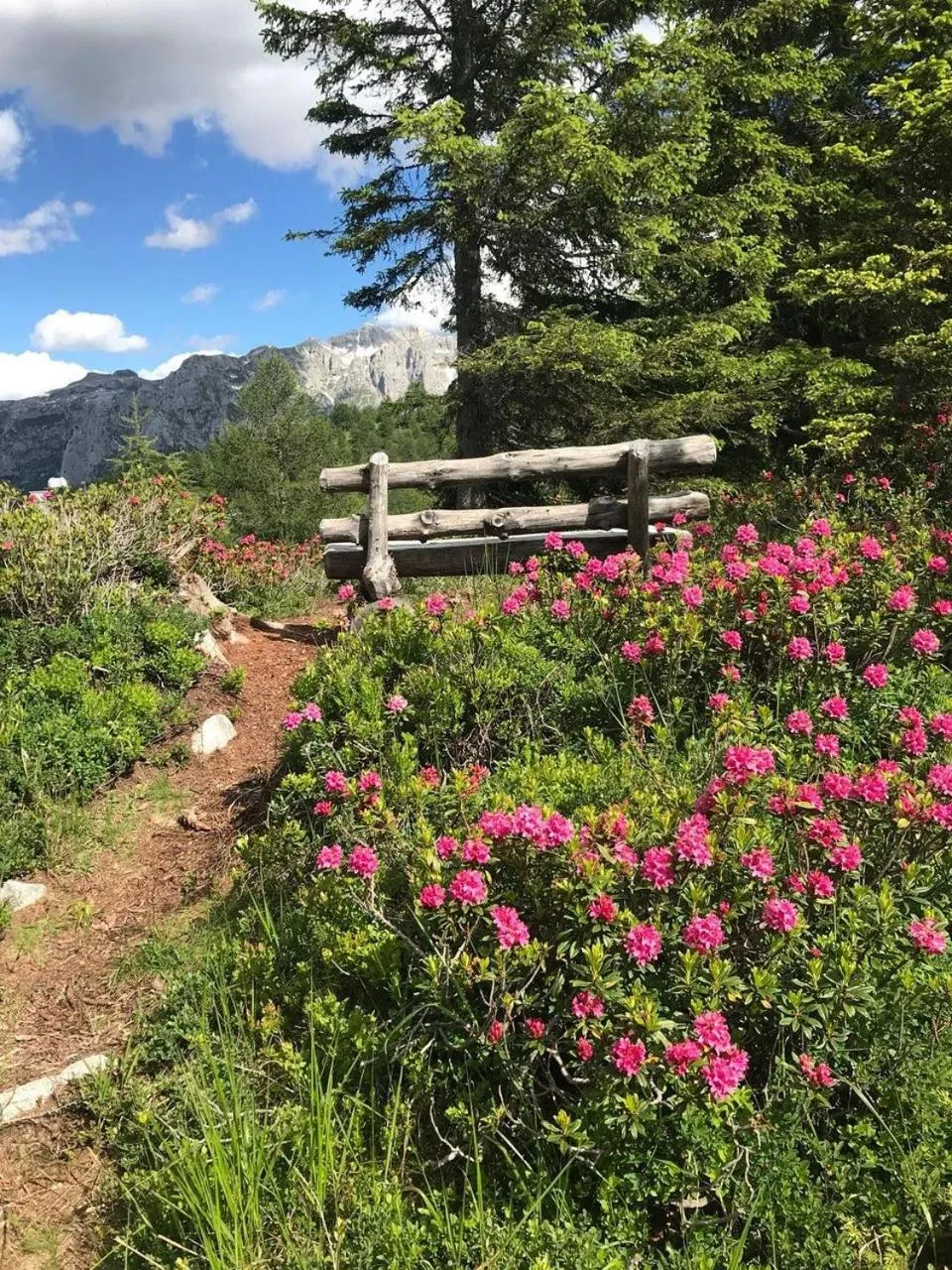 Residence Lores 2 - Go Vacanze