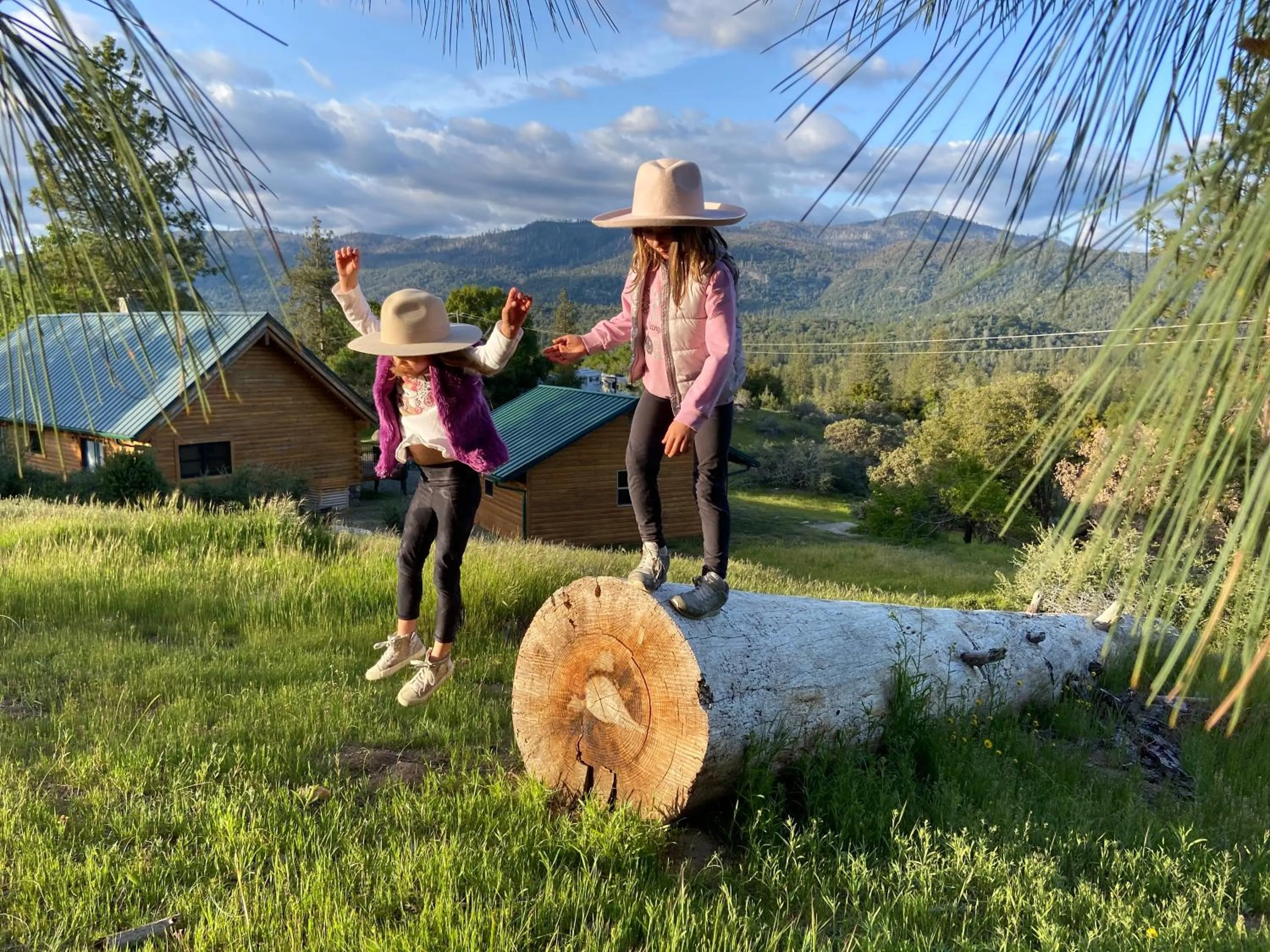 Property building in Scenic View Timber Lodge HotTub by Casa Oso