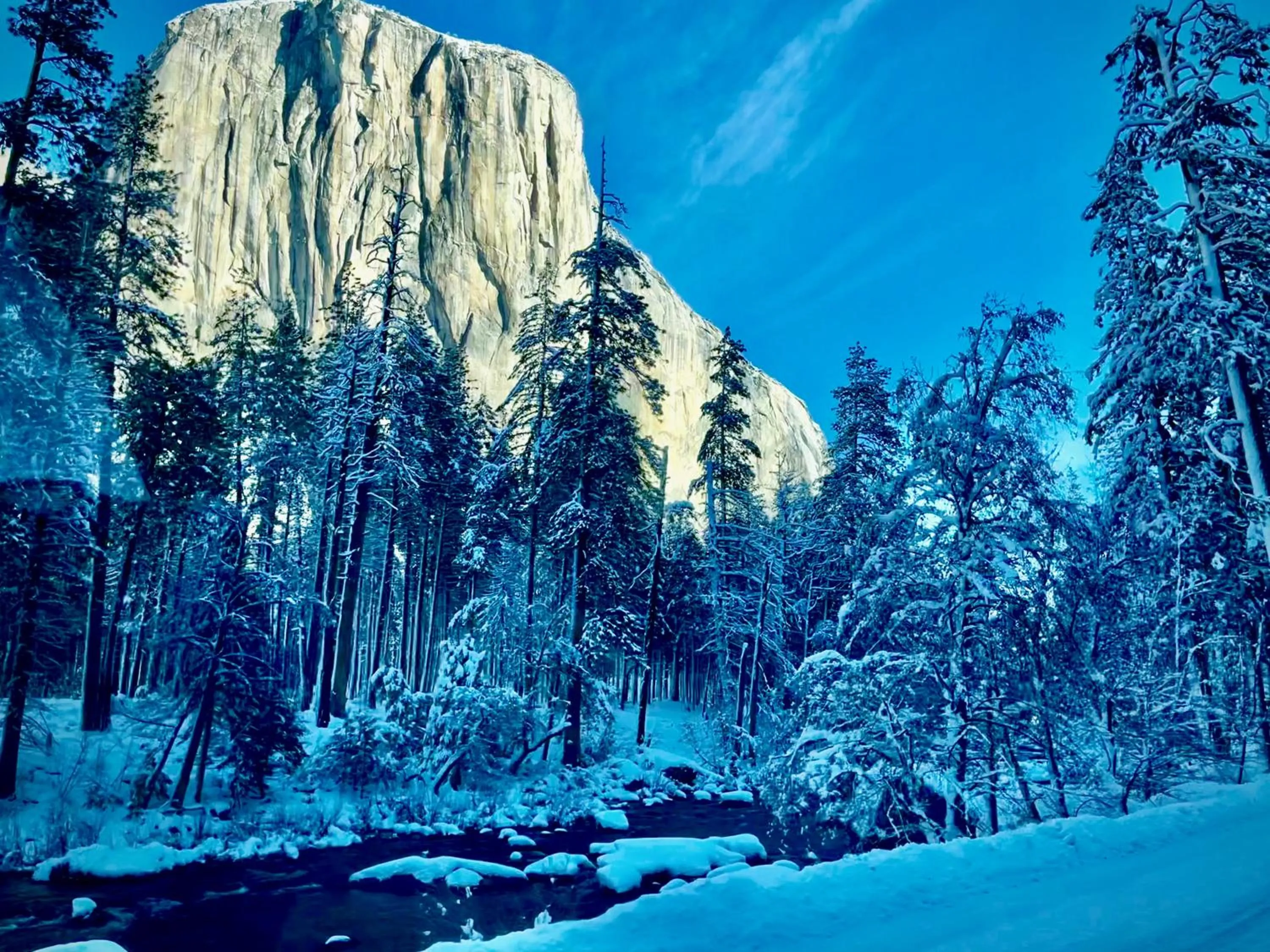 Nearby landmark in Scenic View Timber Lodge HotTub by Casa Oso
