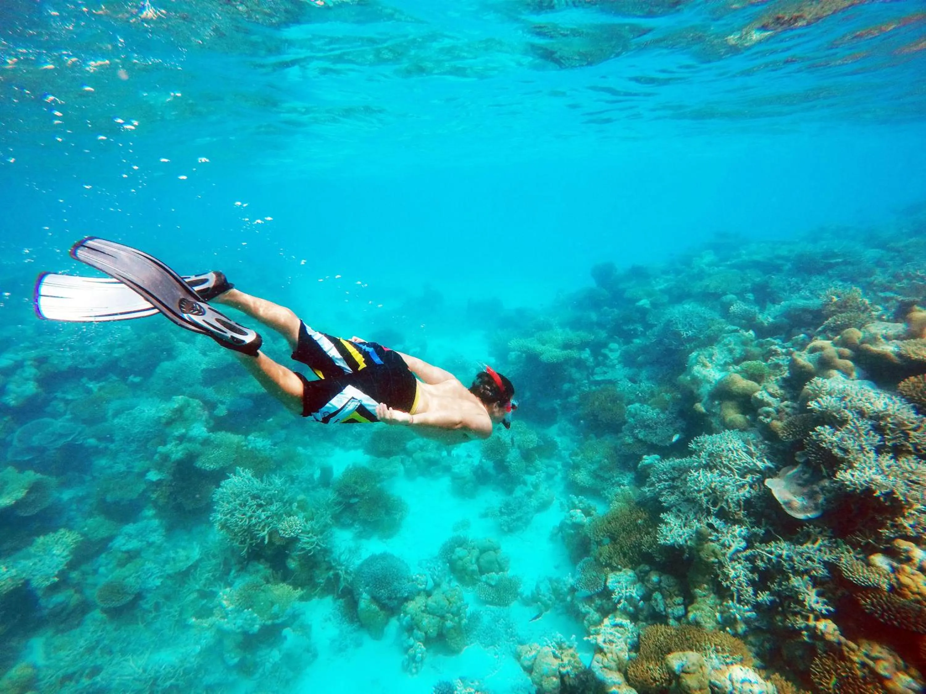 Snorkeling in Bibee Maldives