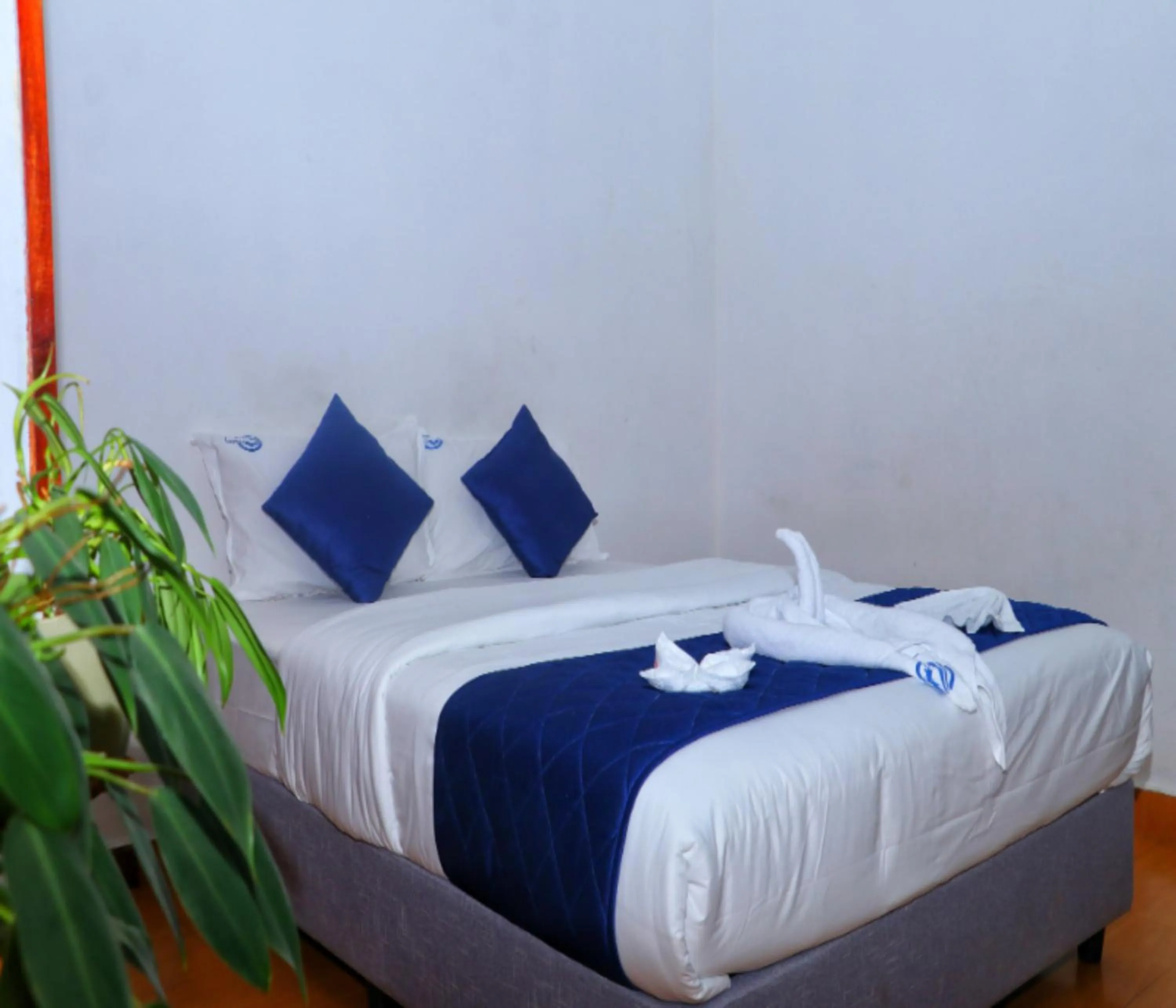 Photo of the whole room, Bed in AC MIST