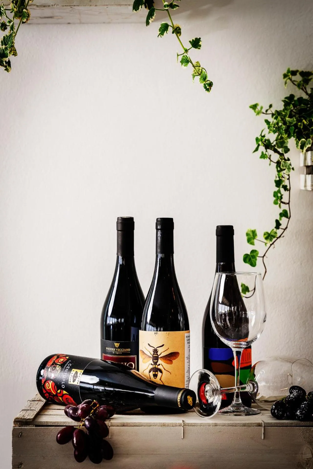 Food and drinks in Luxor Beach Boutique Hotel Cattolica