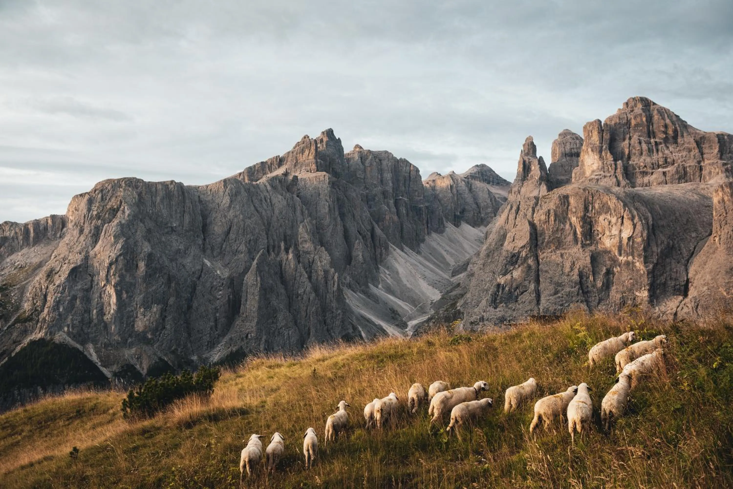 Nearby landmark in Kolfuschgerhof Mountain Resort