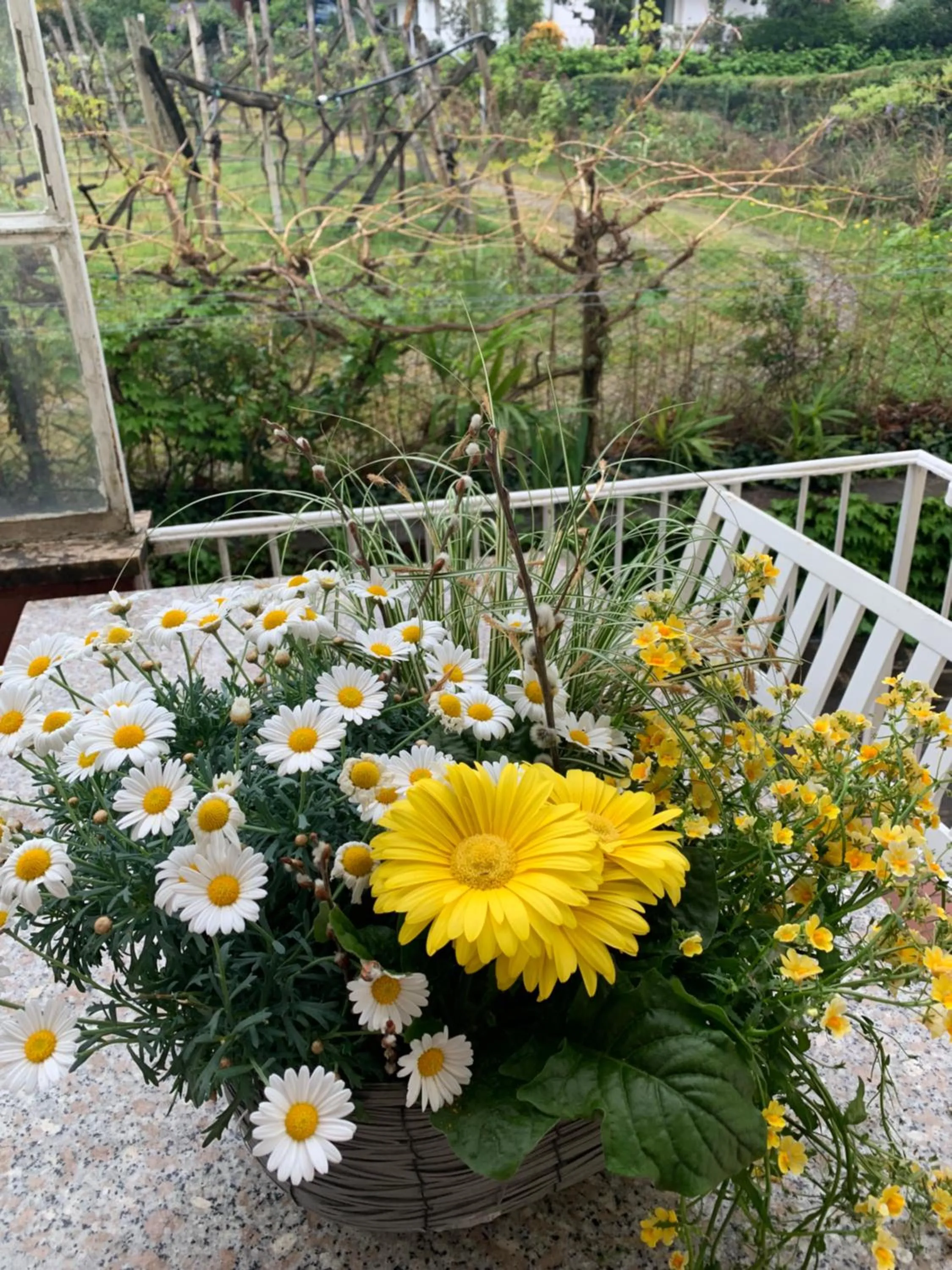 Balcony/Terrace in Hotel Zima
