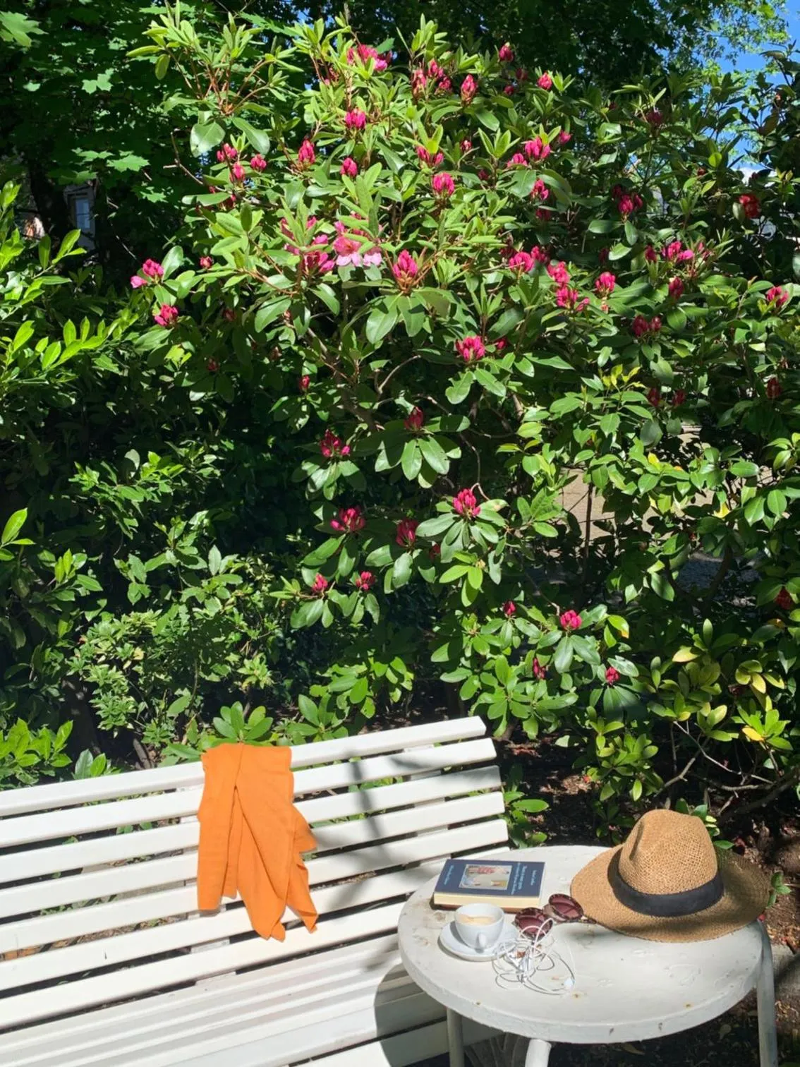 Garden in Hotel Zima