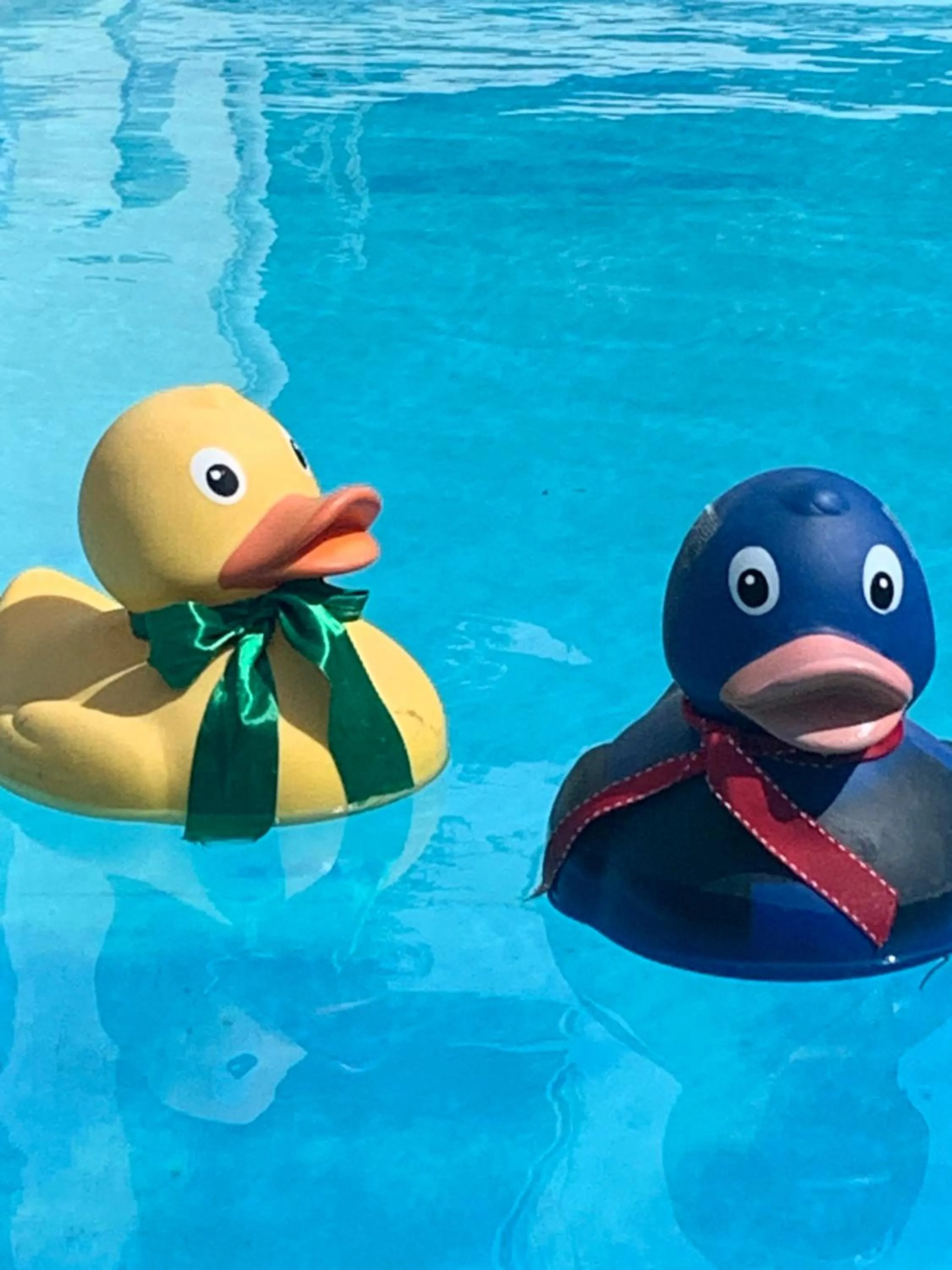 Animals in Hotel Zima