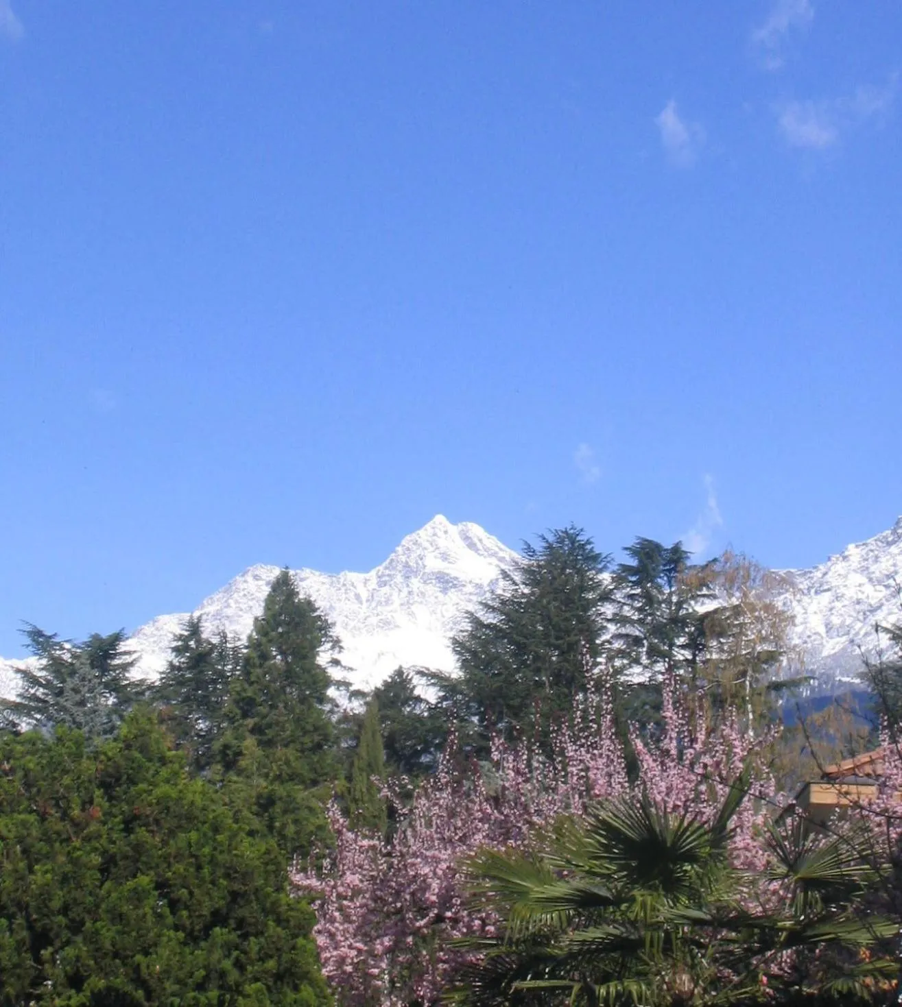 Mountain view in Hotel Zima