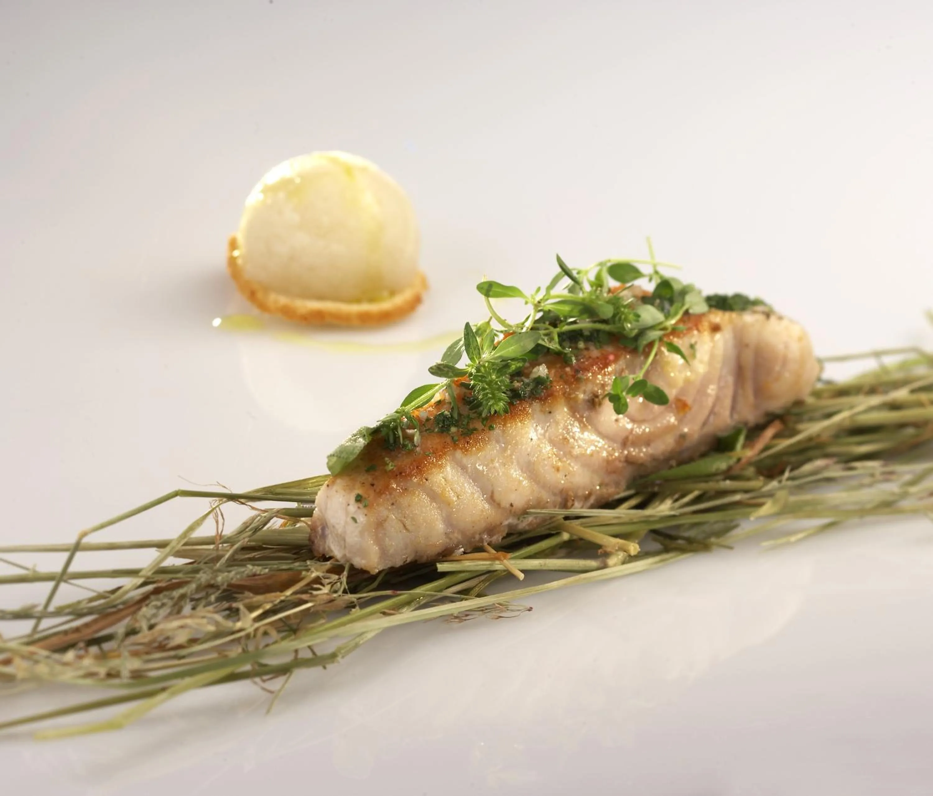 Food close-up in Il Sole Di Ranco