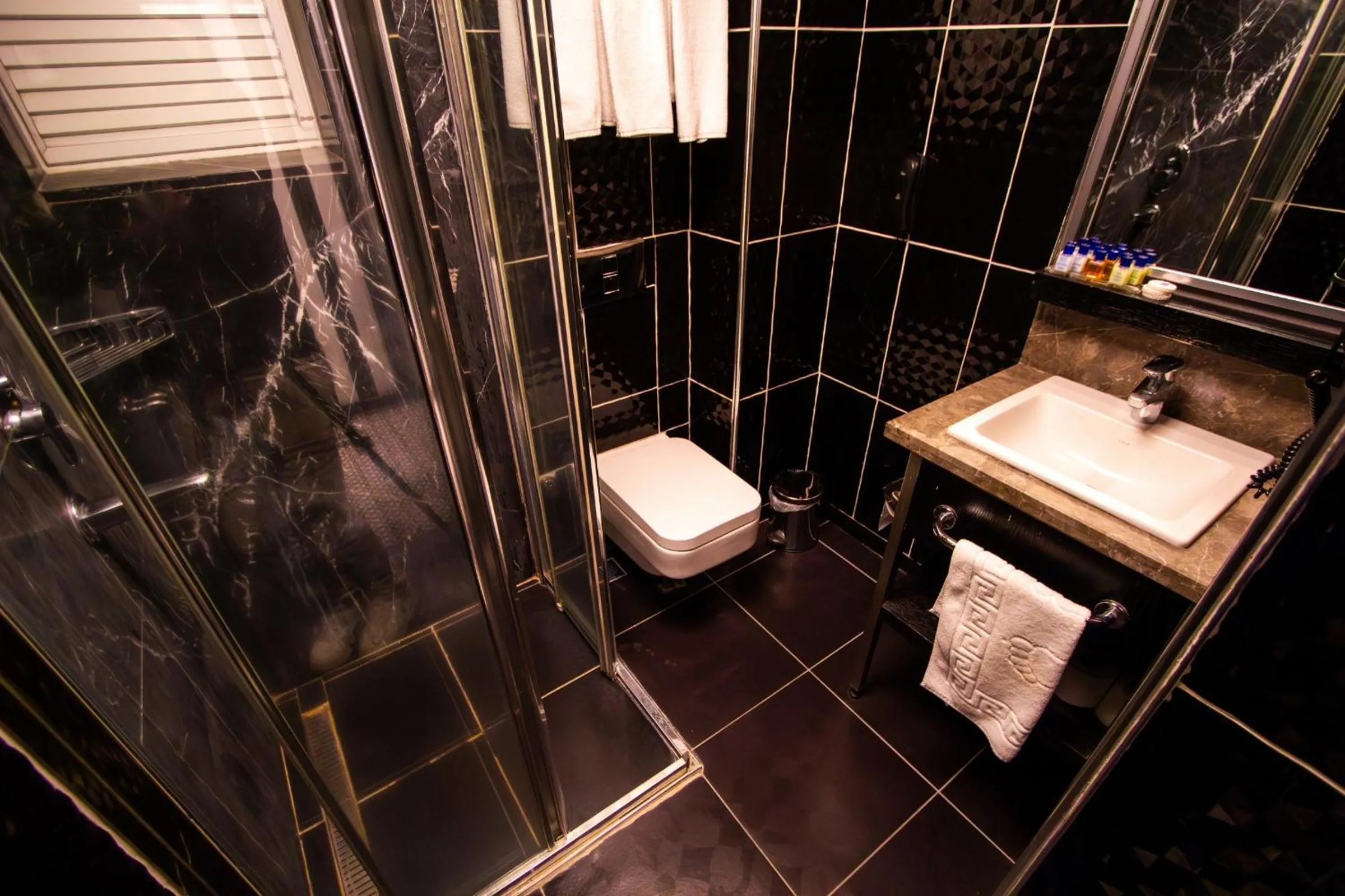 Toilet in Maltepe 2000 Hotel