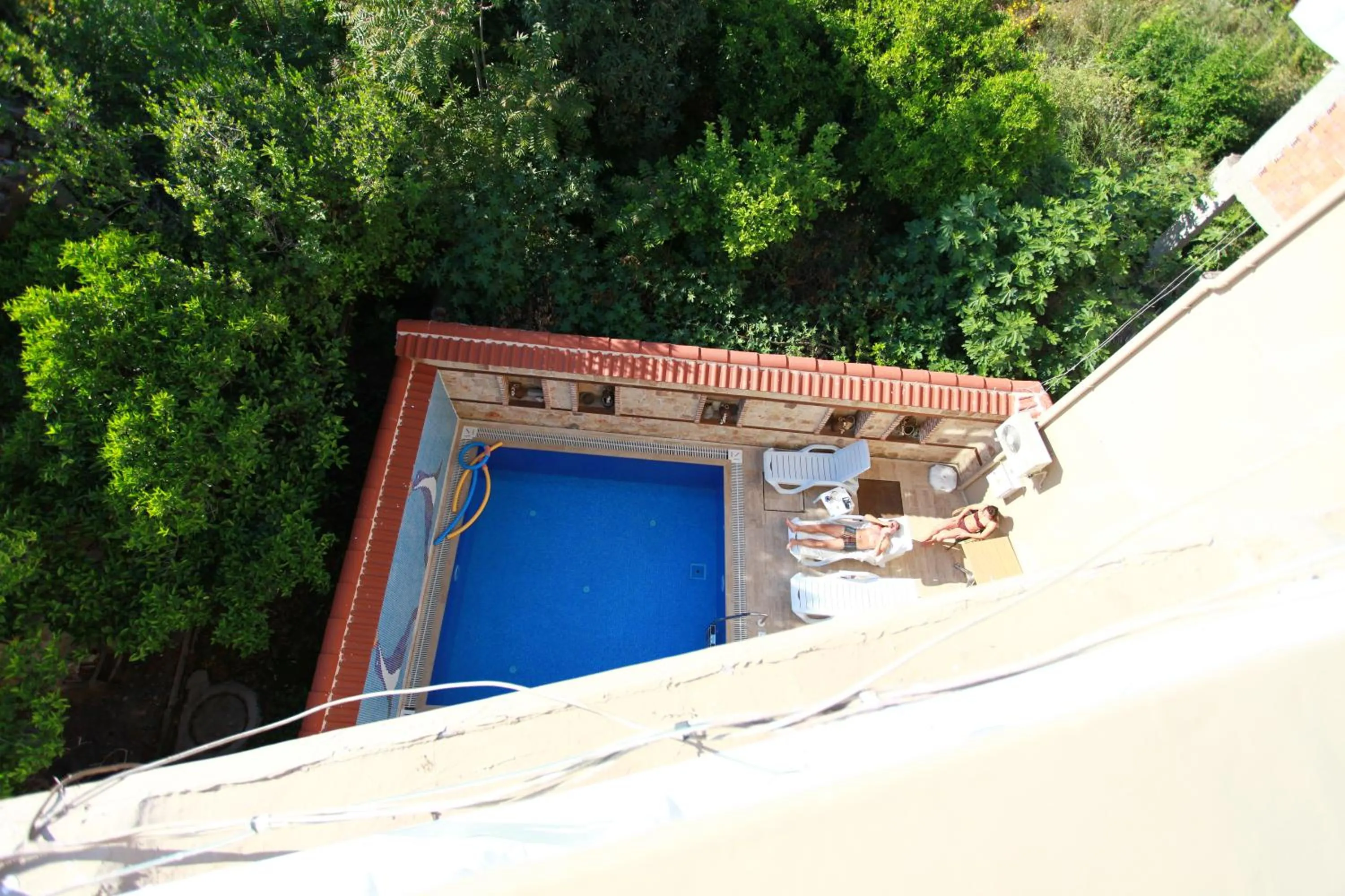 View (from property/room) in Bacchus Pension