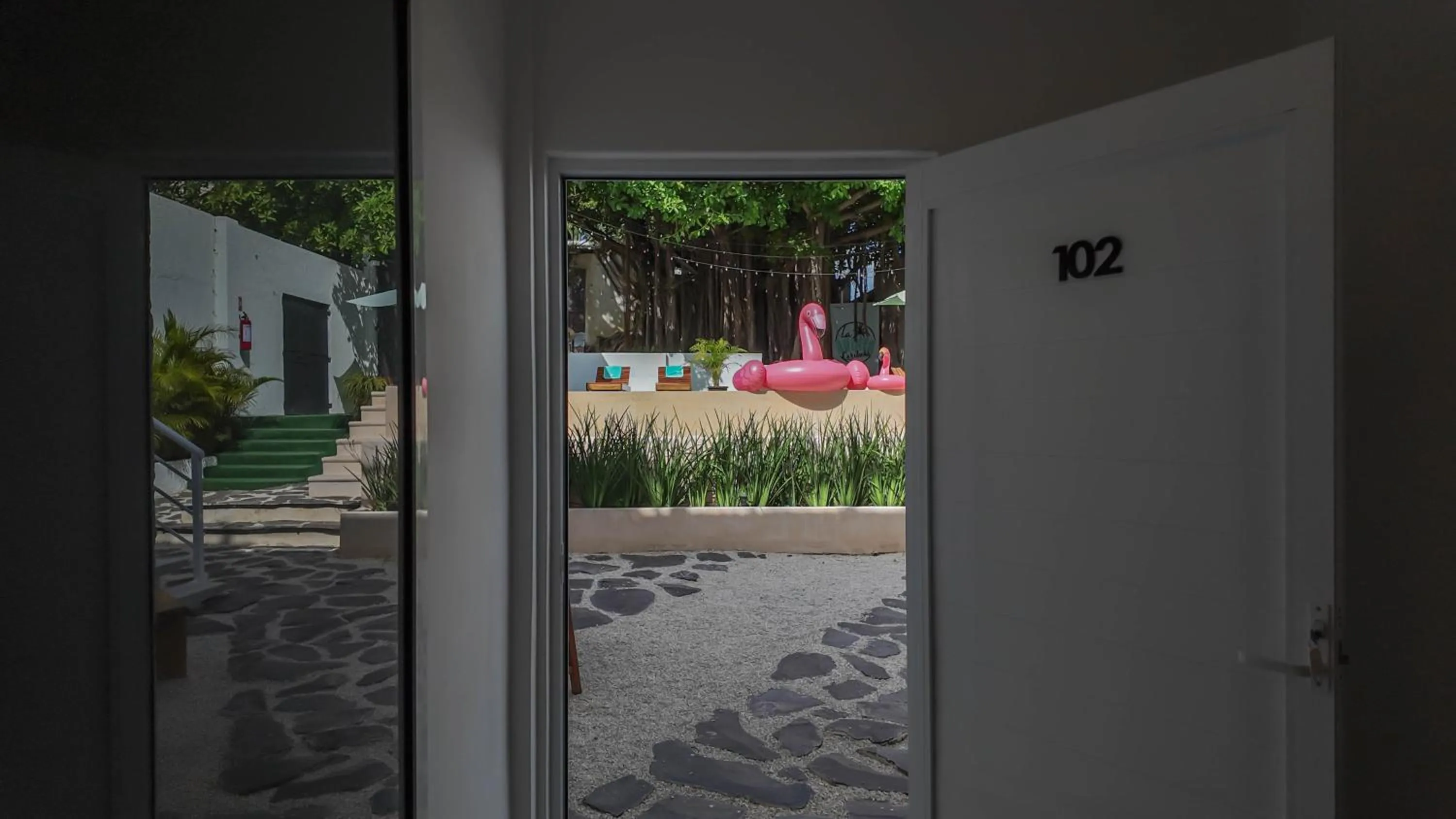 Garden view in La Quinta Caribeña