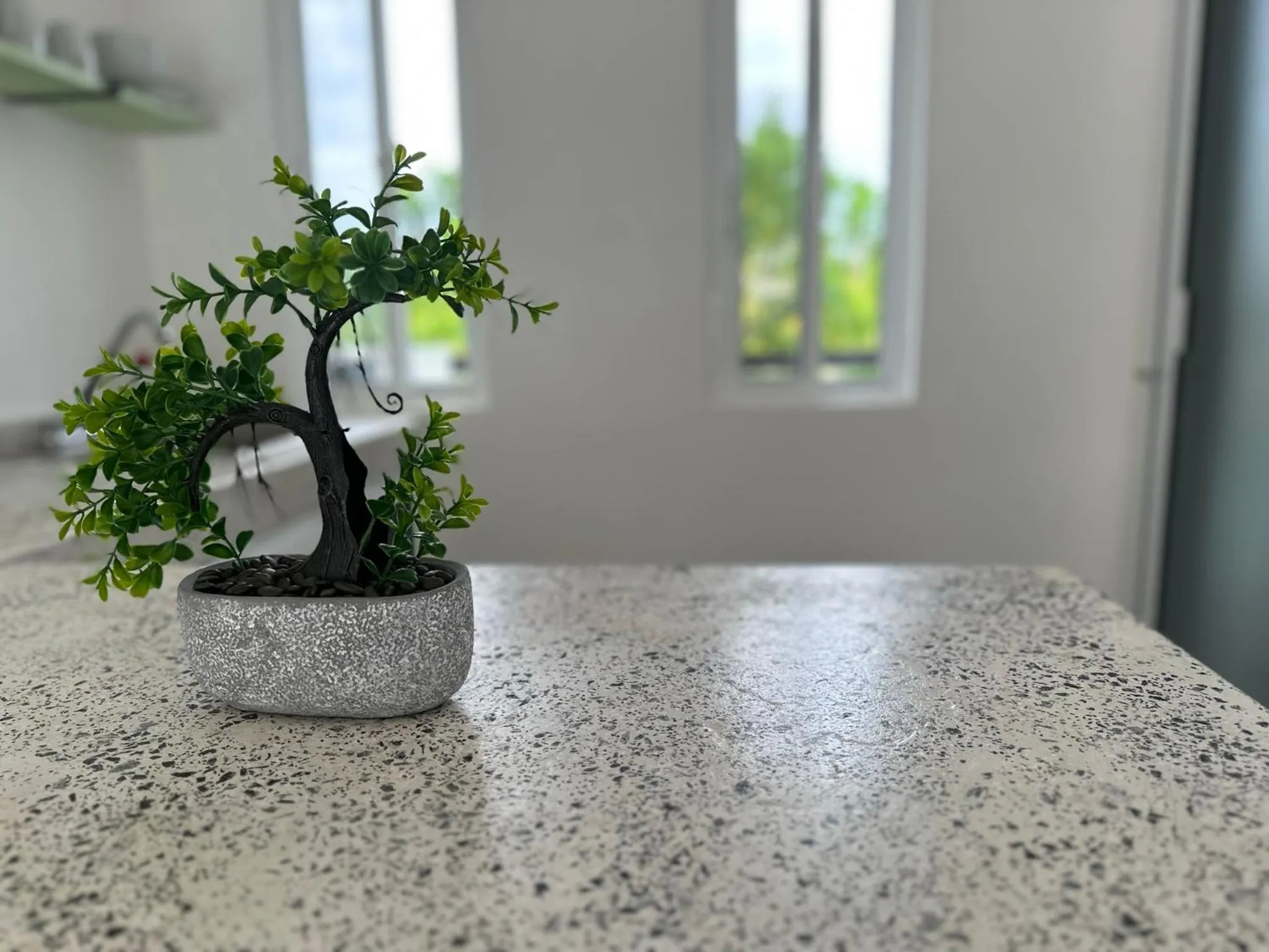 Decorative detail in La Quinta Caribeña