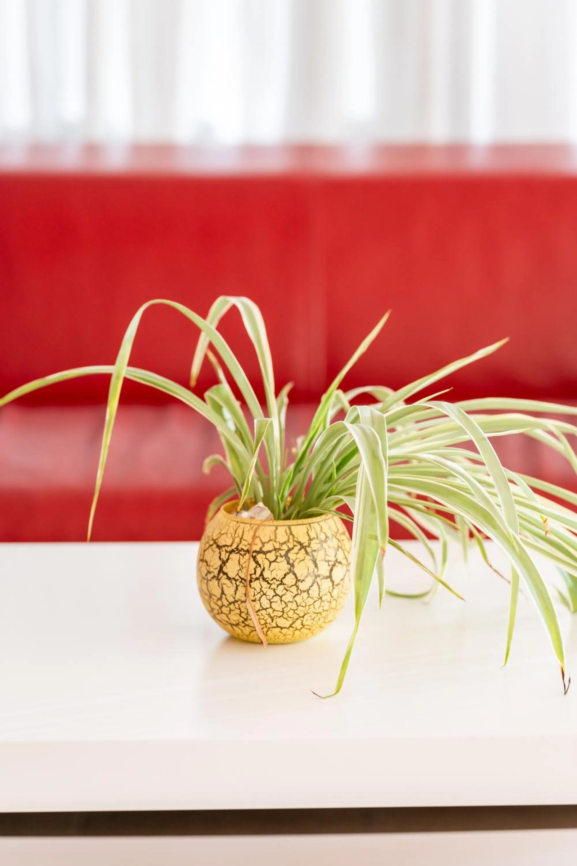 Decorative detail in Hotel Ischia