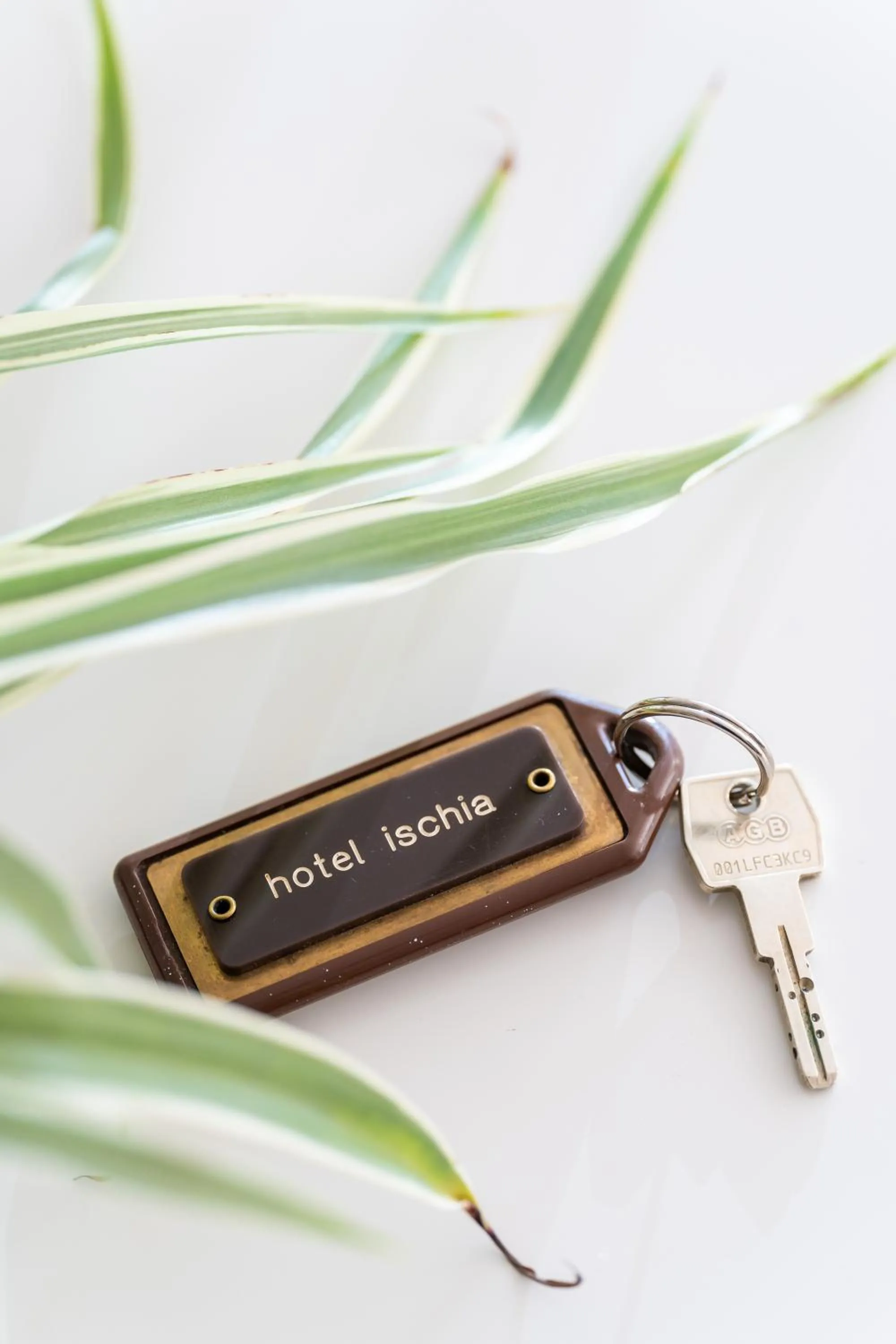 Decorative detail in Hotel Ischia