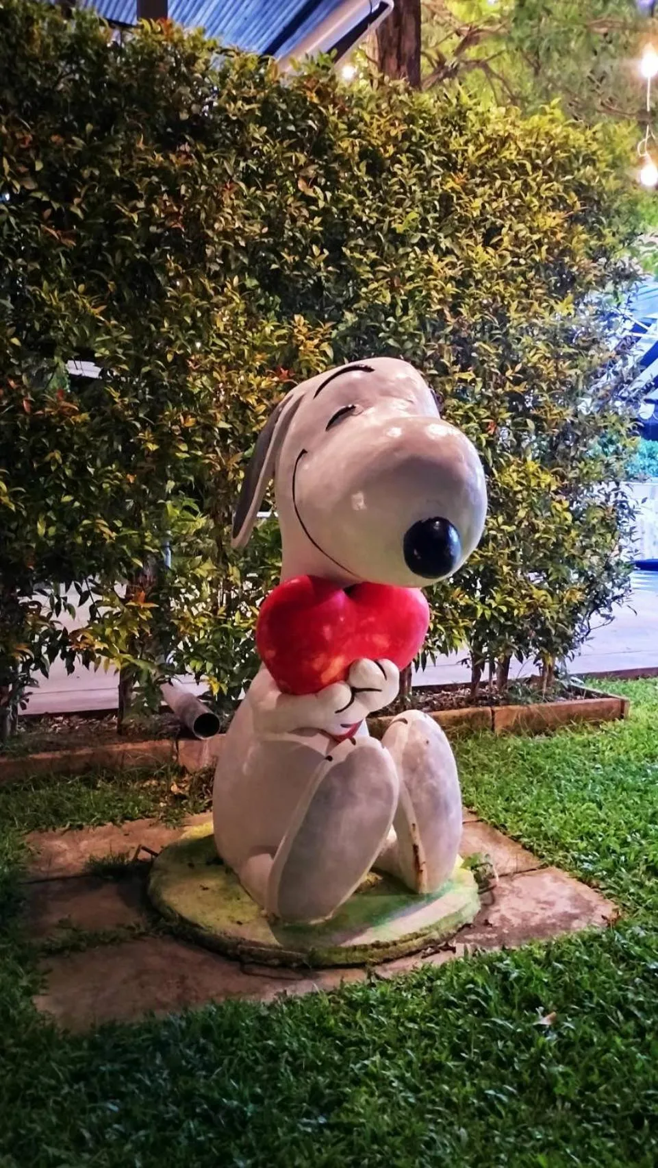 Garden in The Modeva Hotel