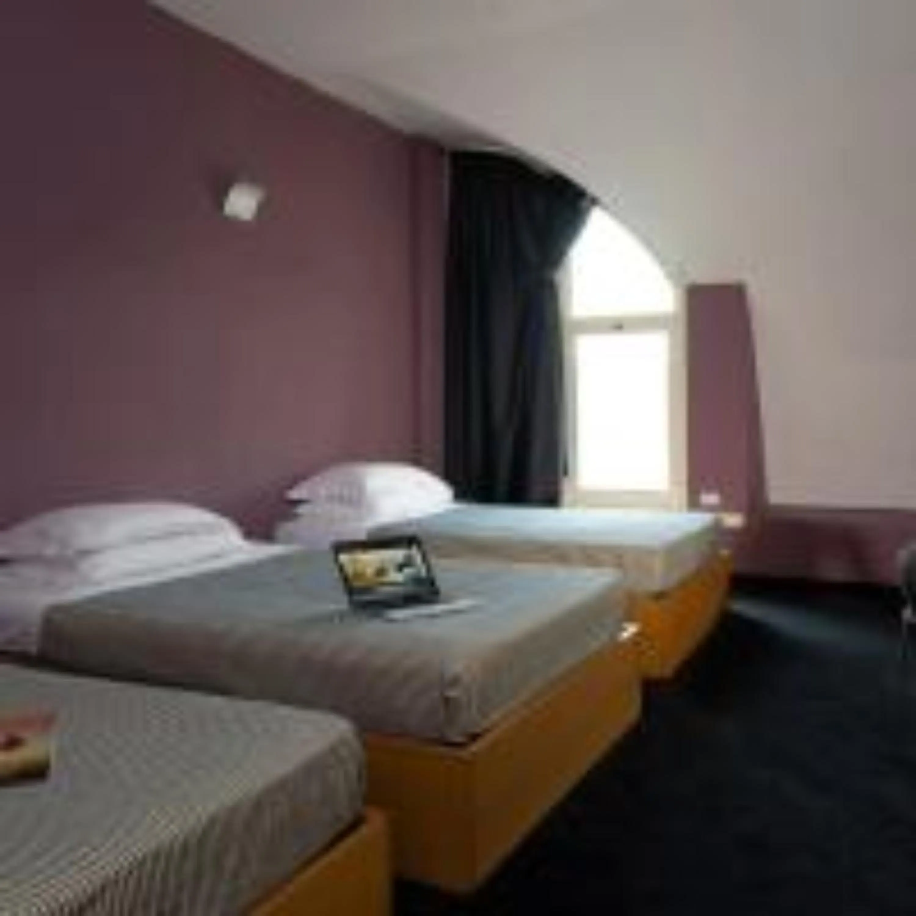 Bed in Hotel Delle Fiere