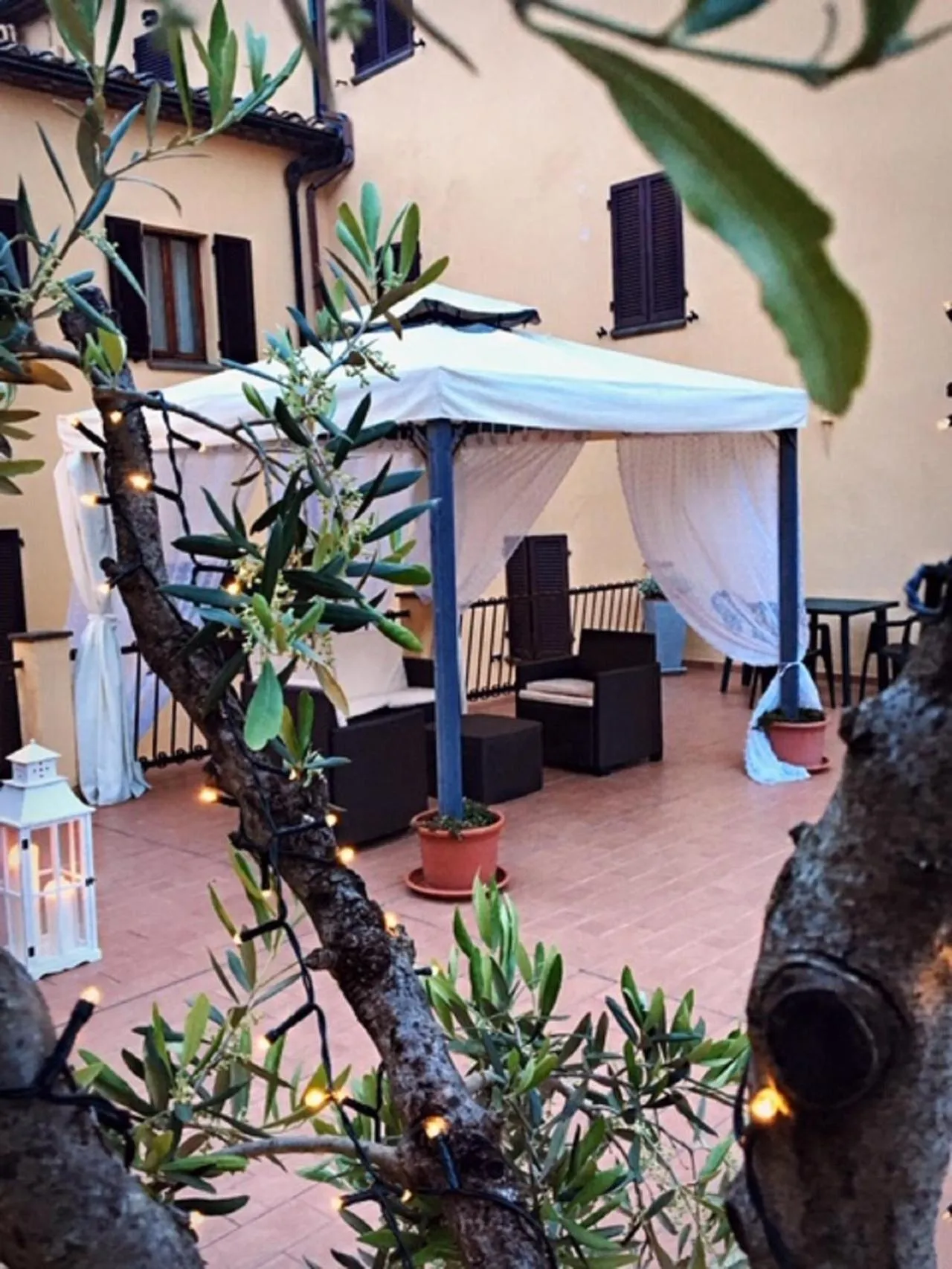 Garden in Hotel San Lino