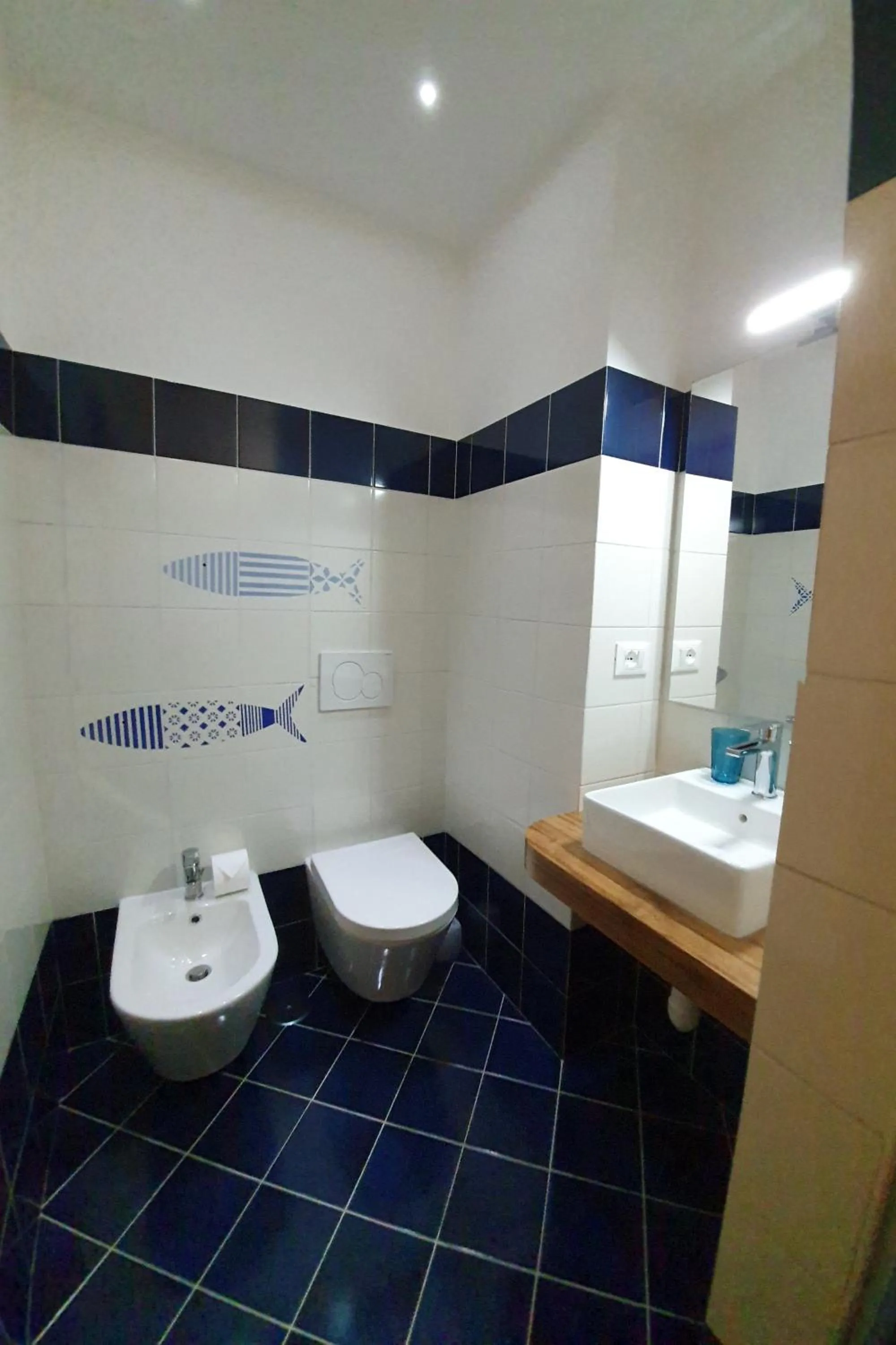 Toilet in Acquamarina