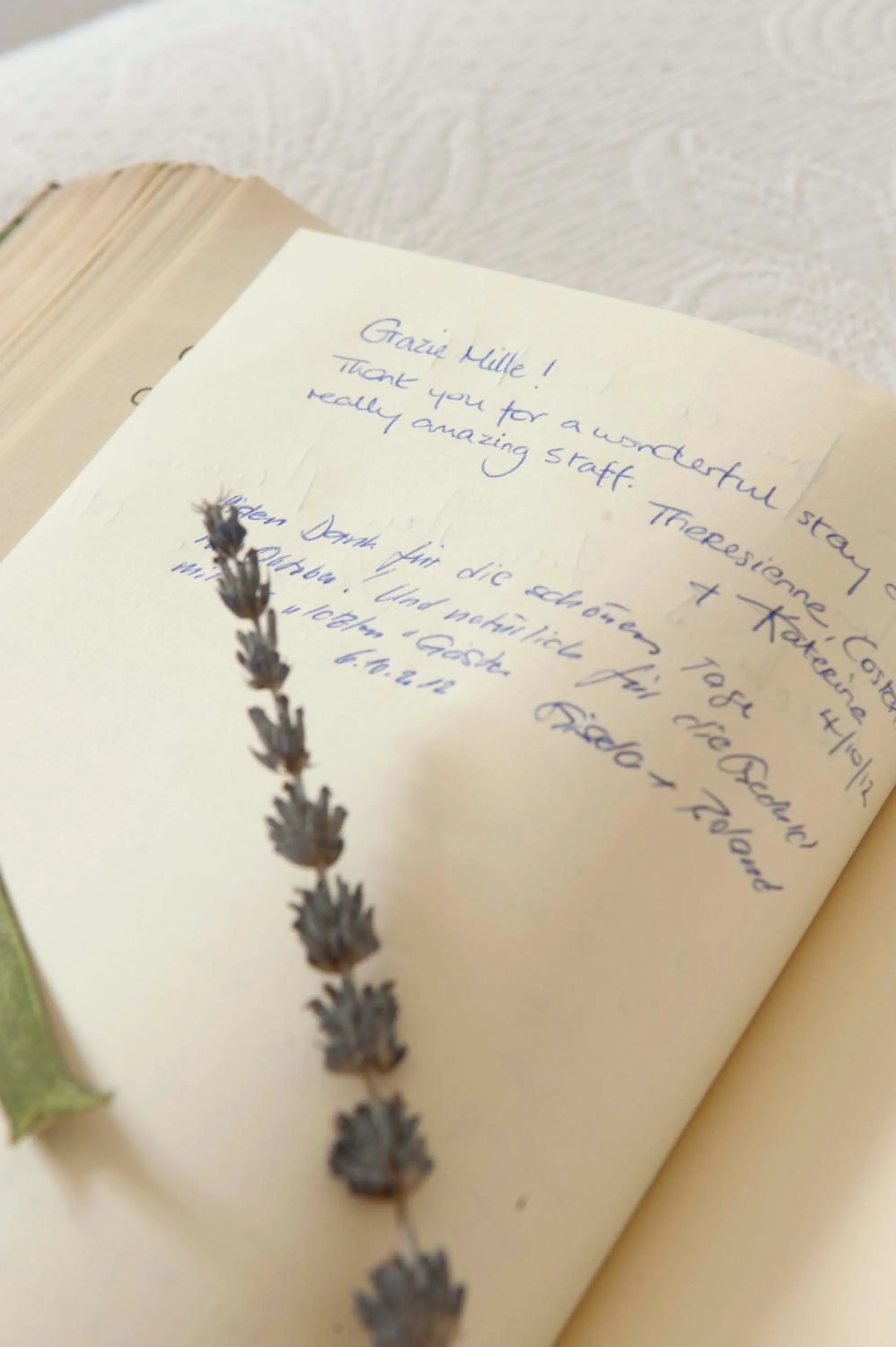 Other in Tenuta Centoporte