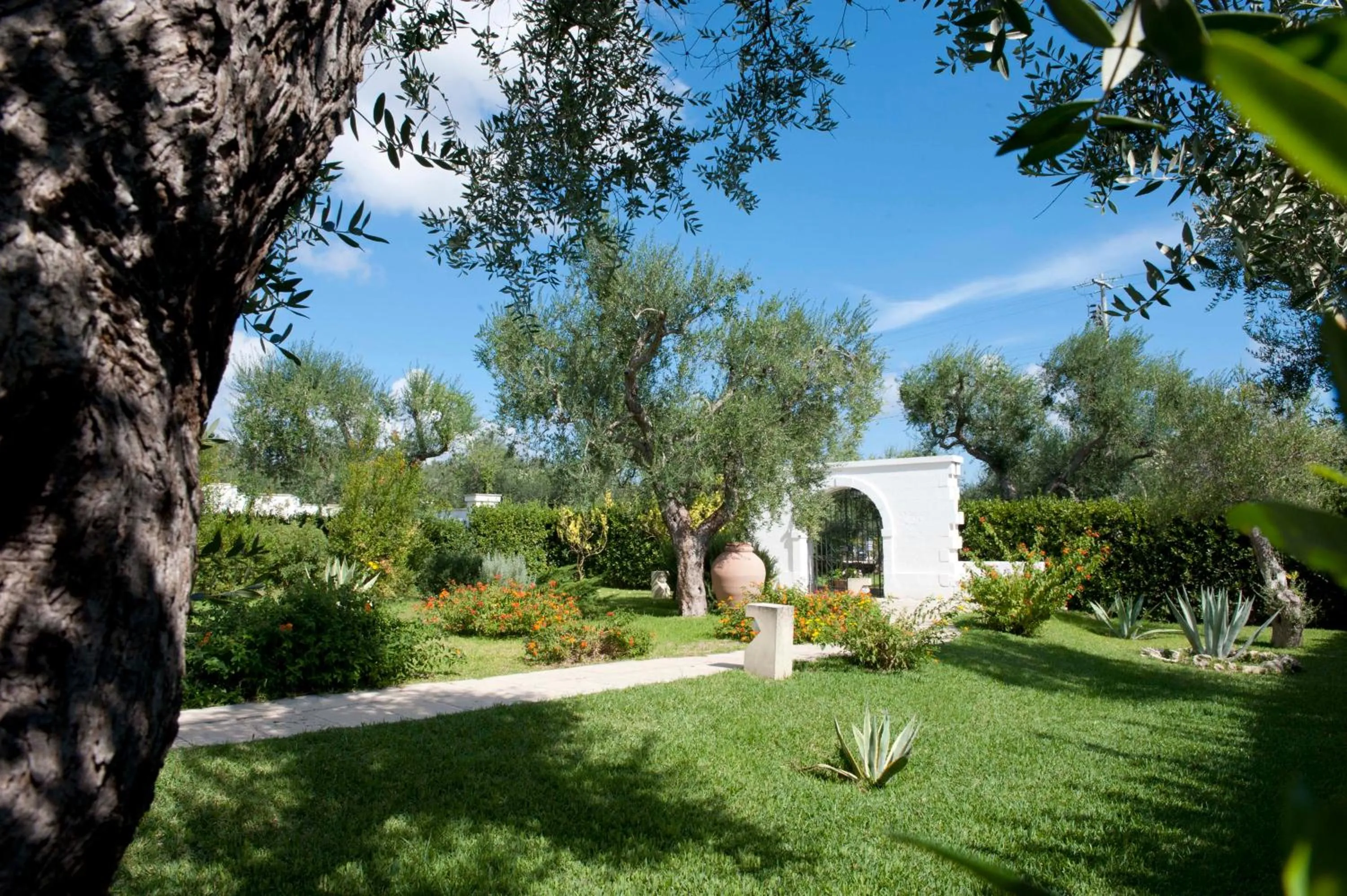 Garden in Tenuta Centoporte
