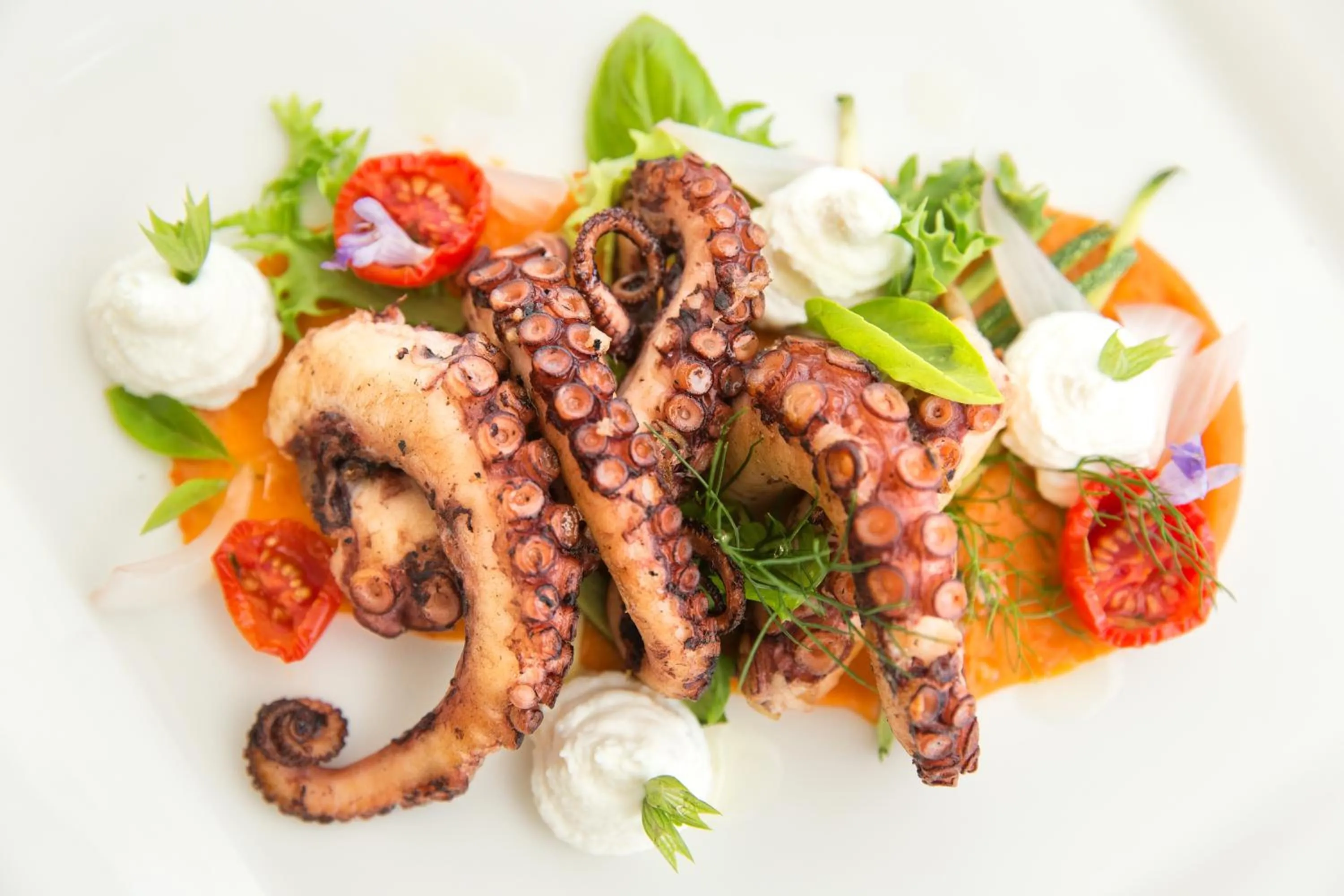 Food close-up in Tenuta Centoporte