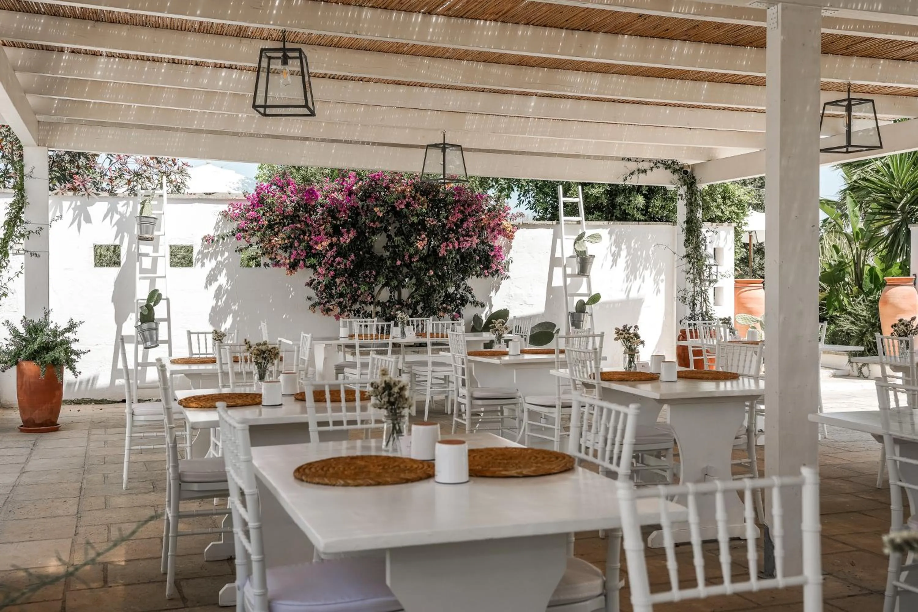 Restaurant/places to eat in Tenuta Centoporte