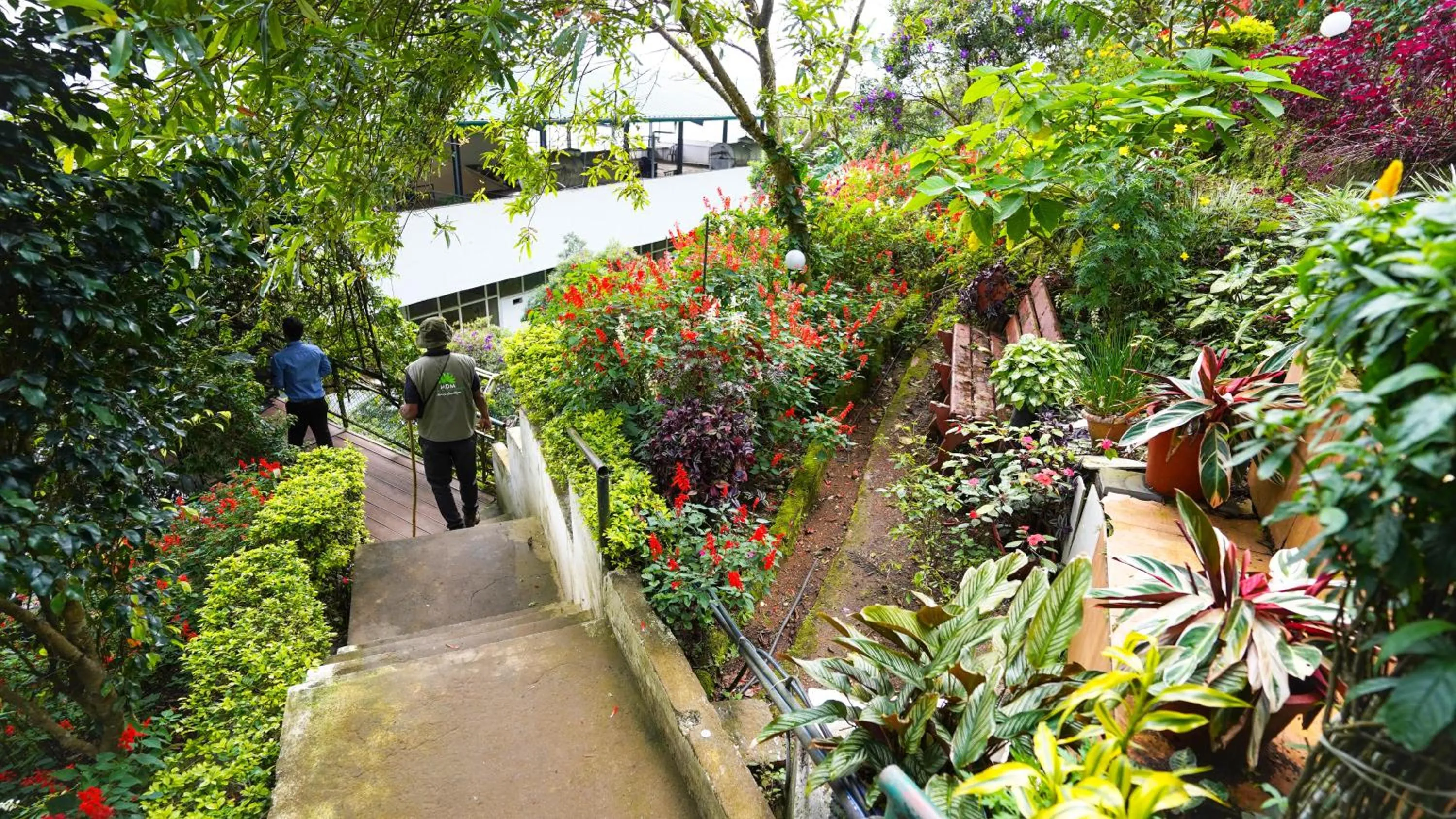 Garden in Misty Mountain Resort