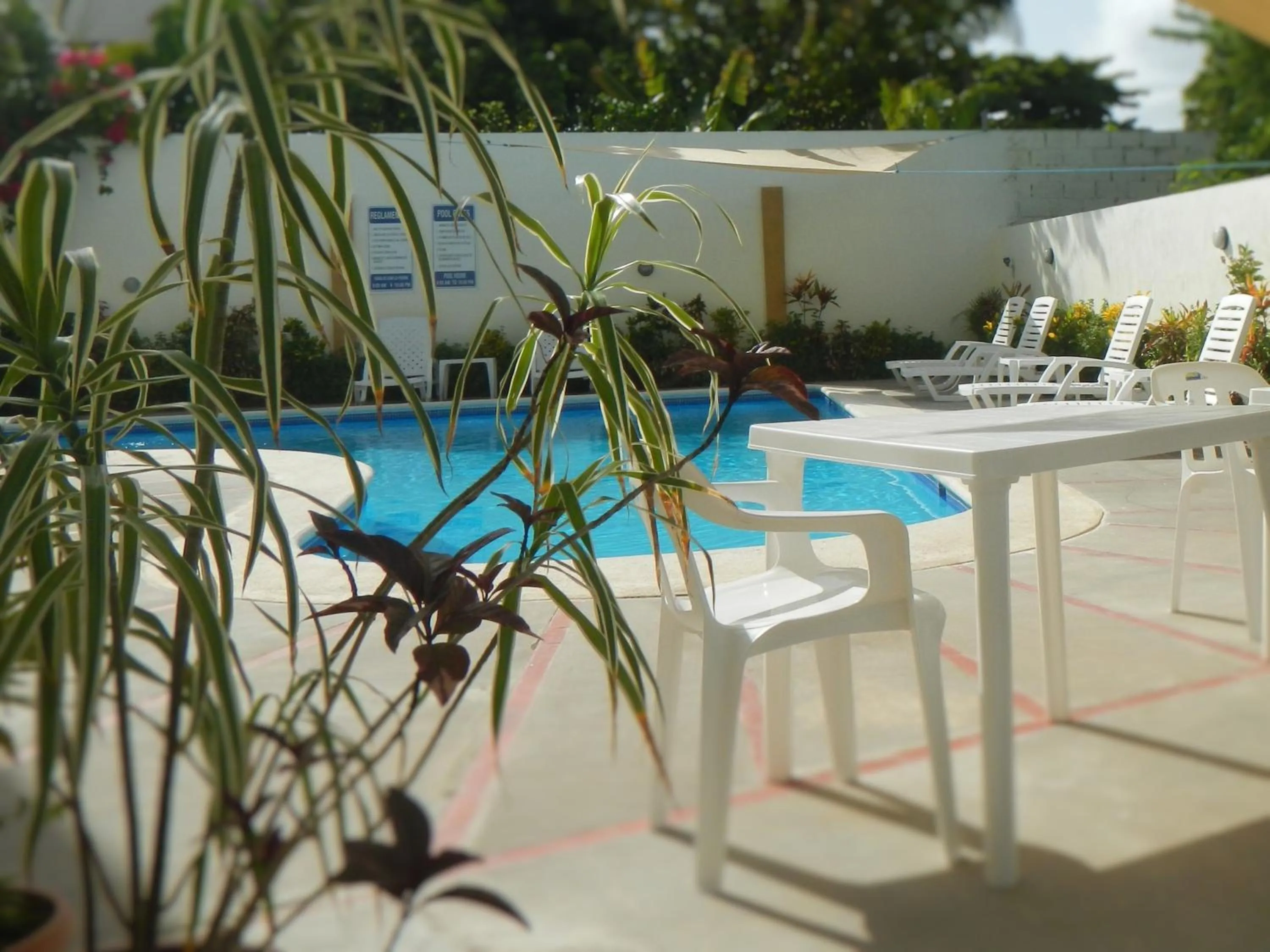 Swimming pool in Costambar