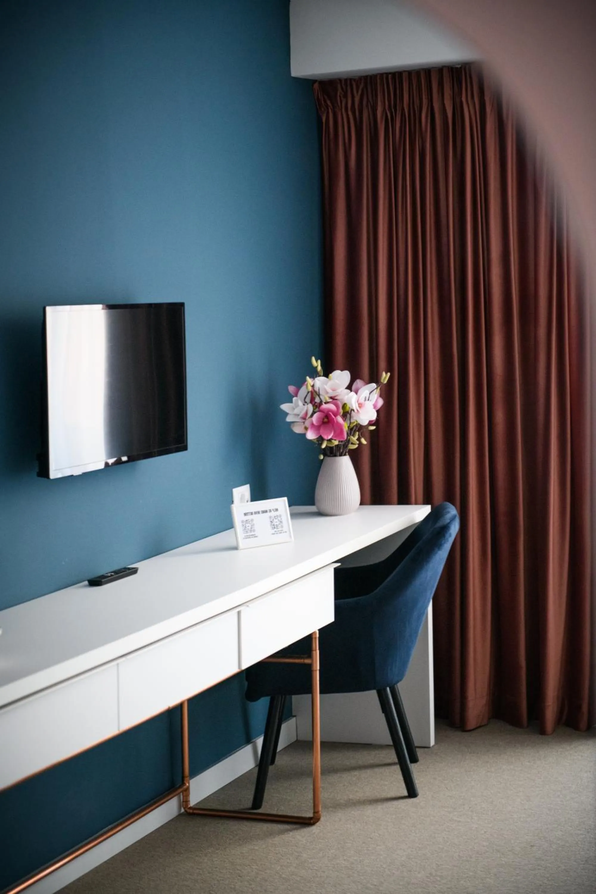 TV and multimedia in Vila Sarisa