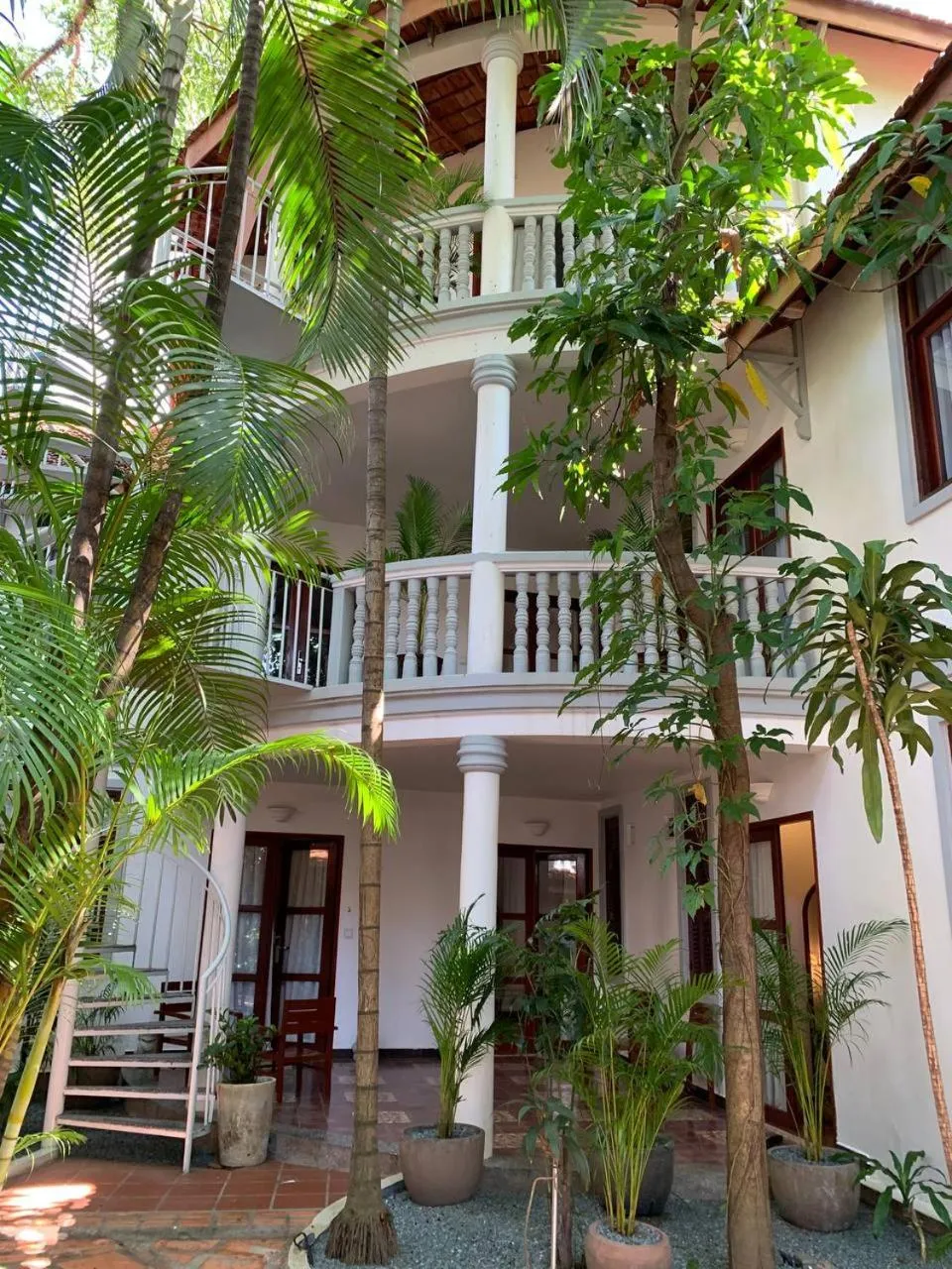 Property building in Jungle Addition