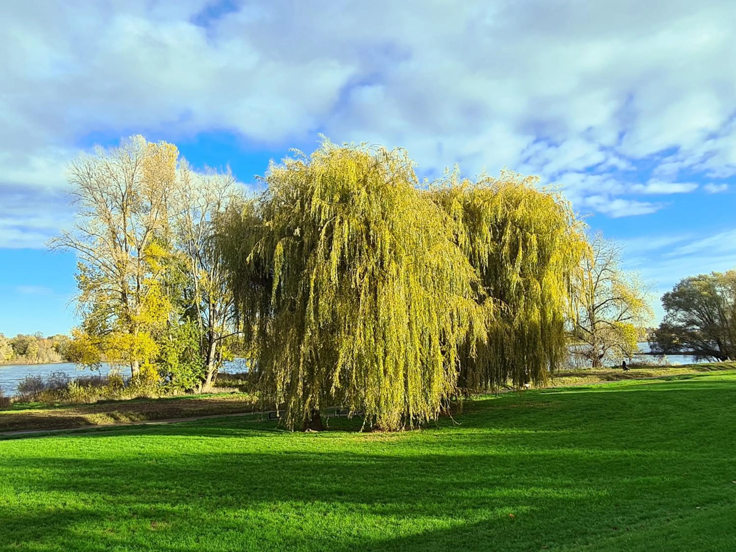 River view in Villahotel Rheinblick