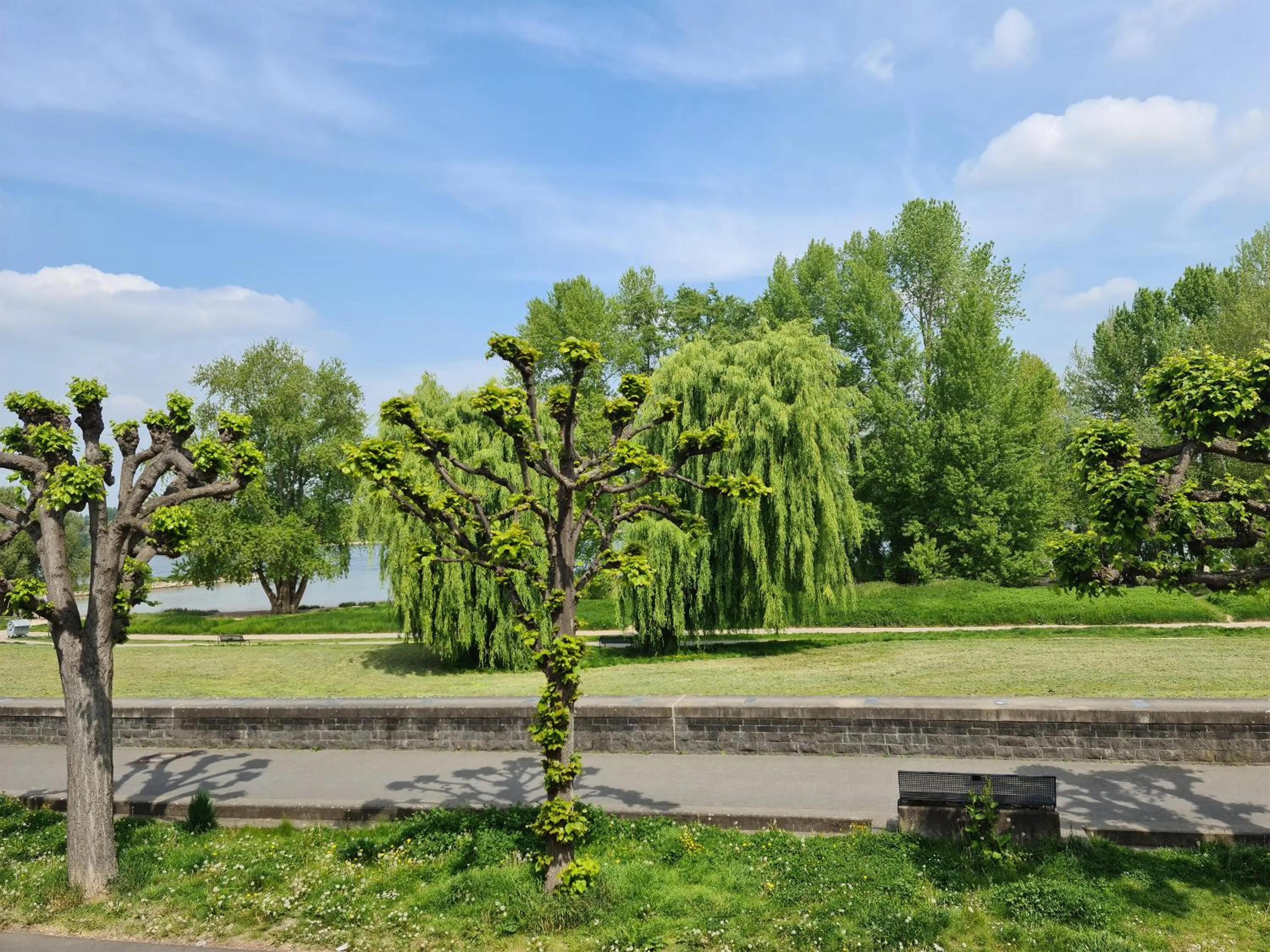 Property building in Villahotel Rheinblick