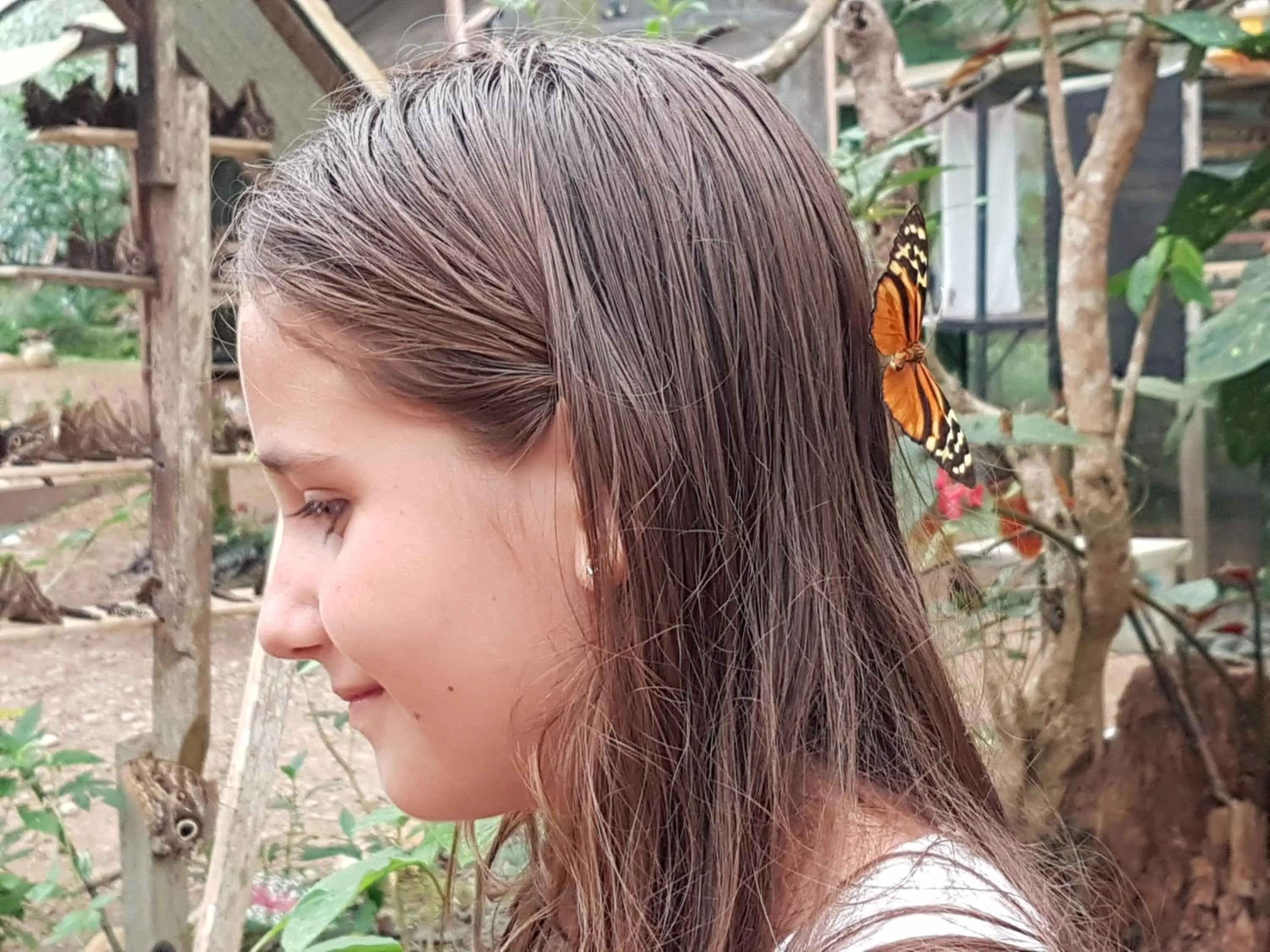 Activities in Grand Selva Lodge & Tours