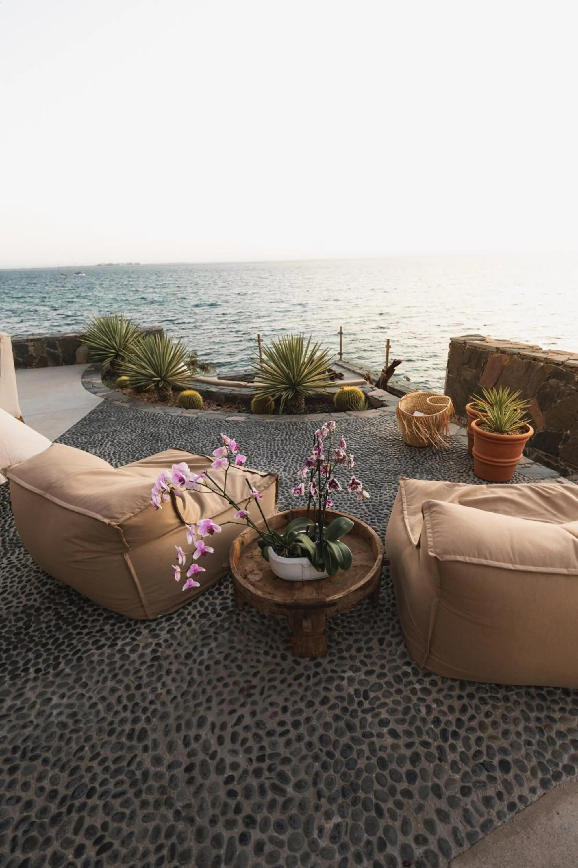 flat iron in Orchid House Baja