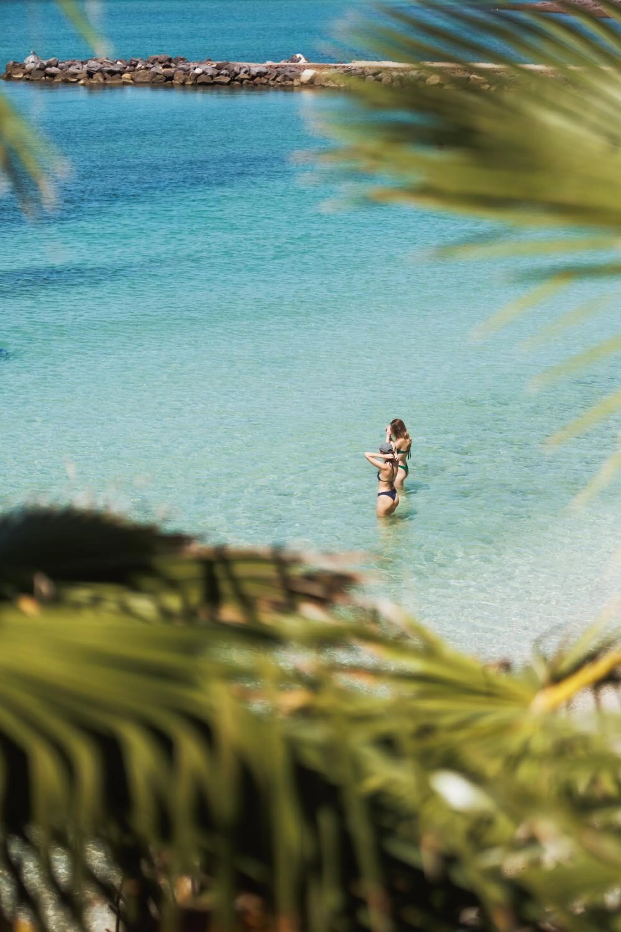 Beach in Orchid House Baja