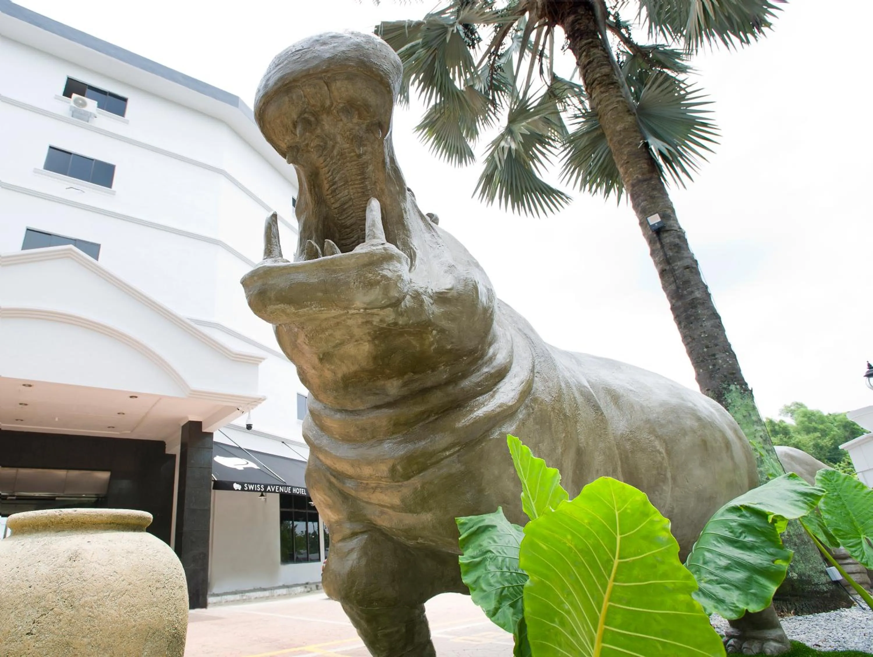 View (from property/room) in SWISS AVENUE HOTEL