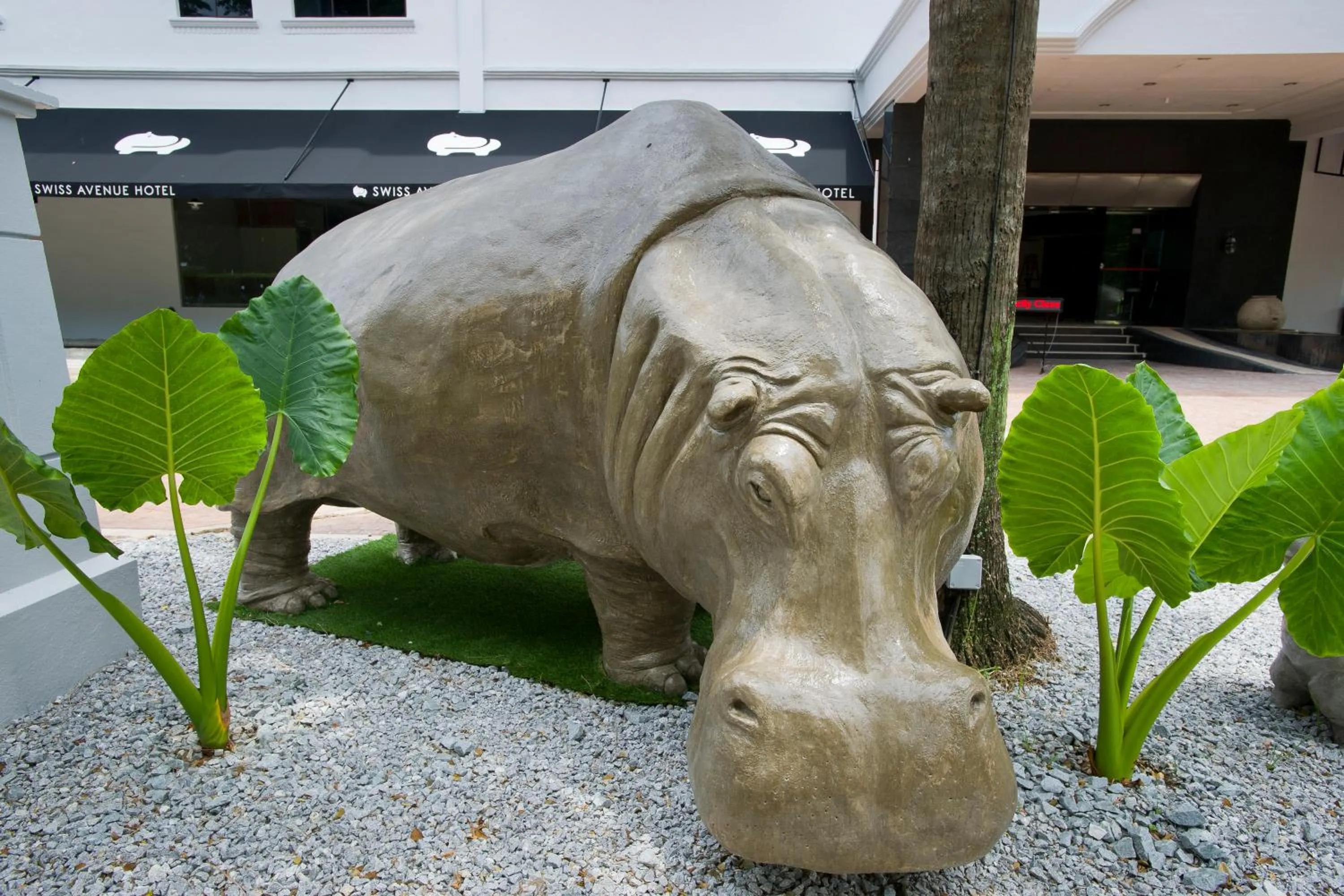 View (from property/room) in SWISS AVENUE HOTEL