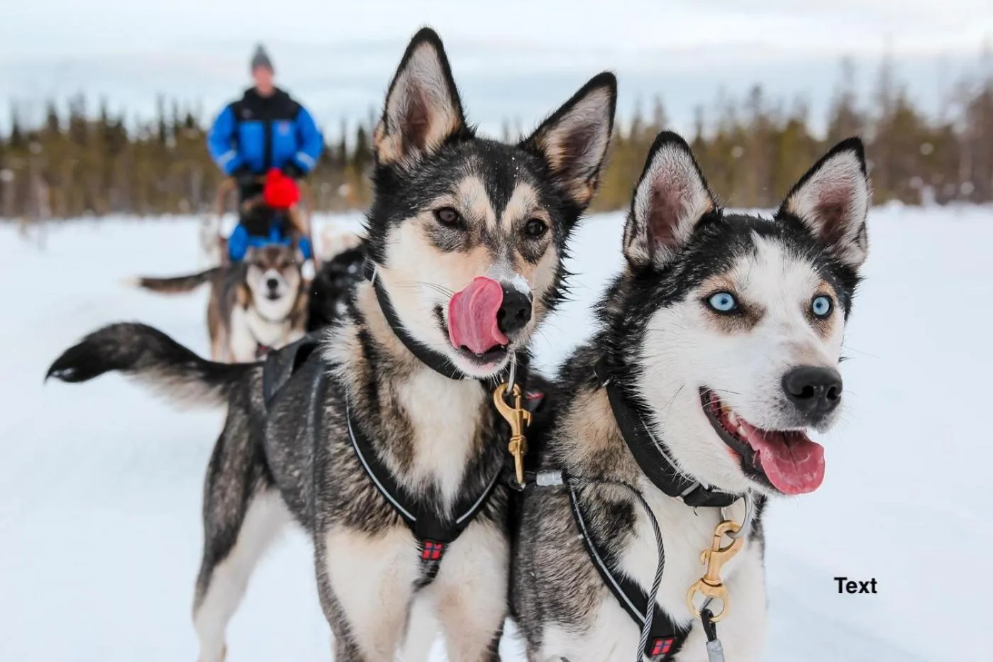 Lomavekarit Apartments