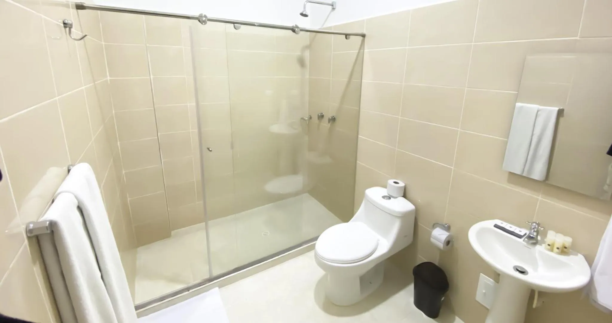 Shower in Hotel El Marqués De Manga